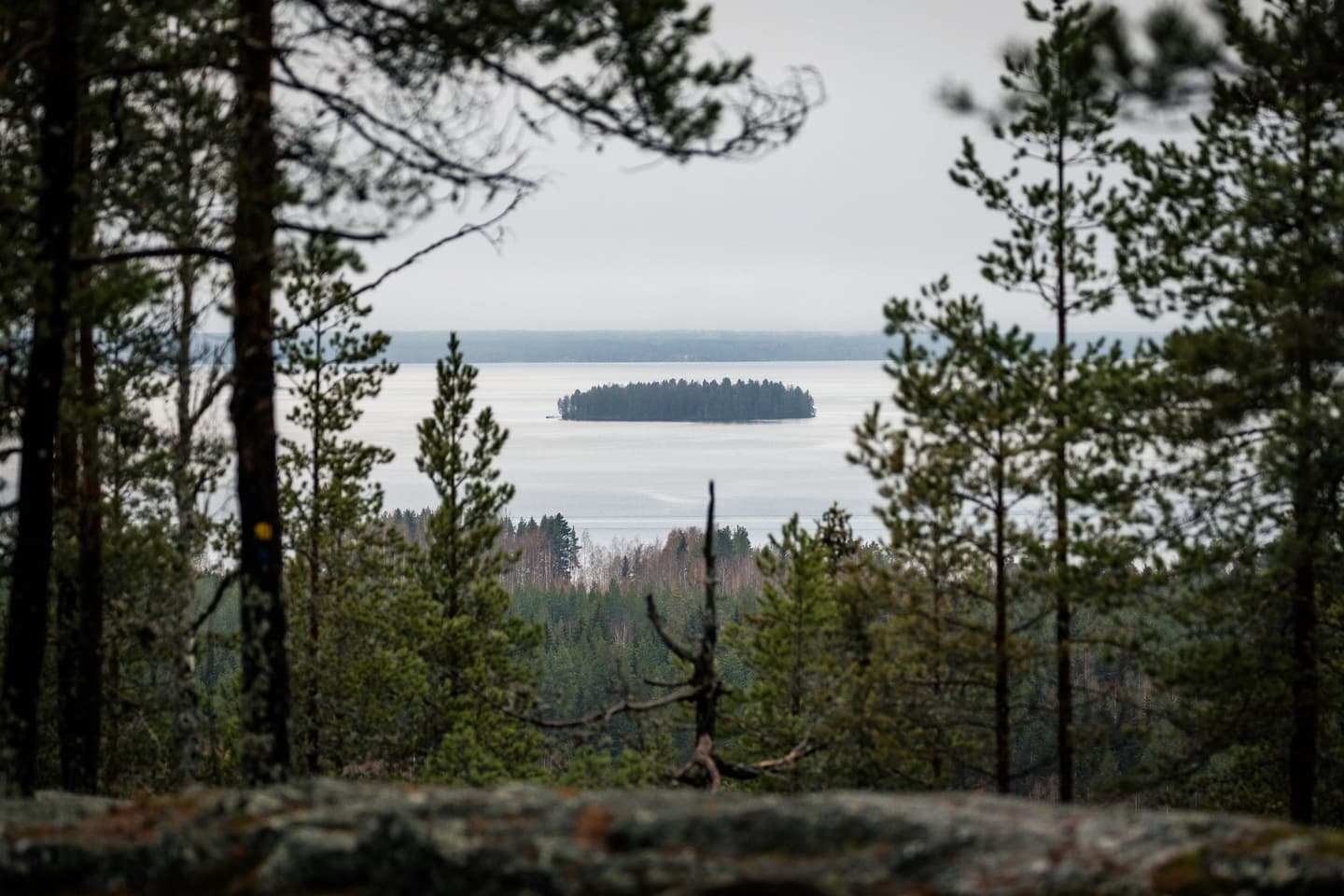 Image: Kraatterijärvi Geopark A summery view from a high hill toward the lake.
