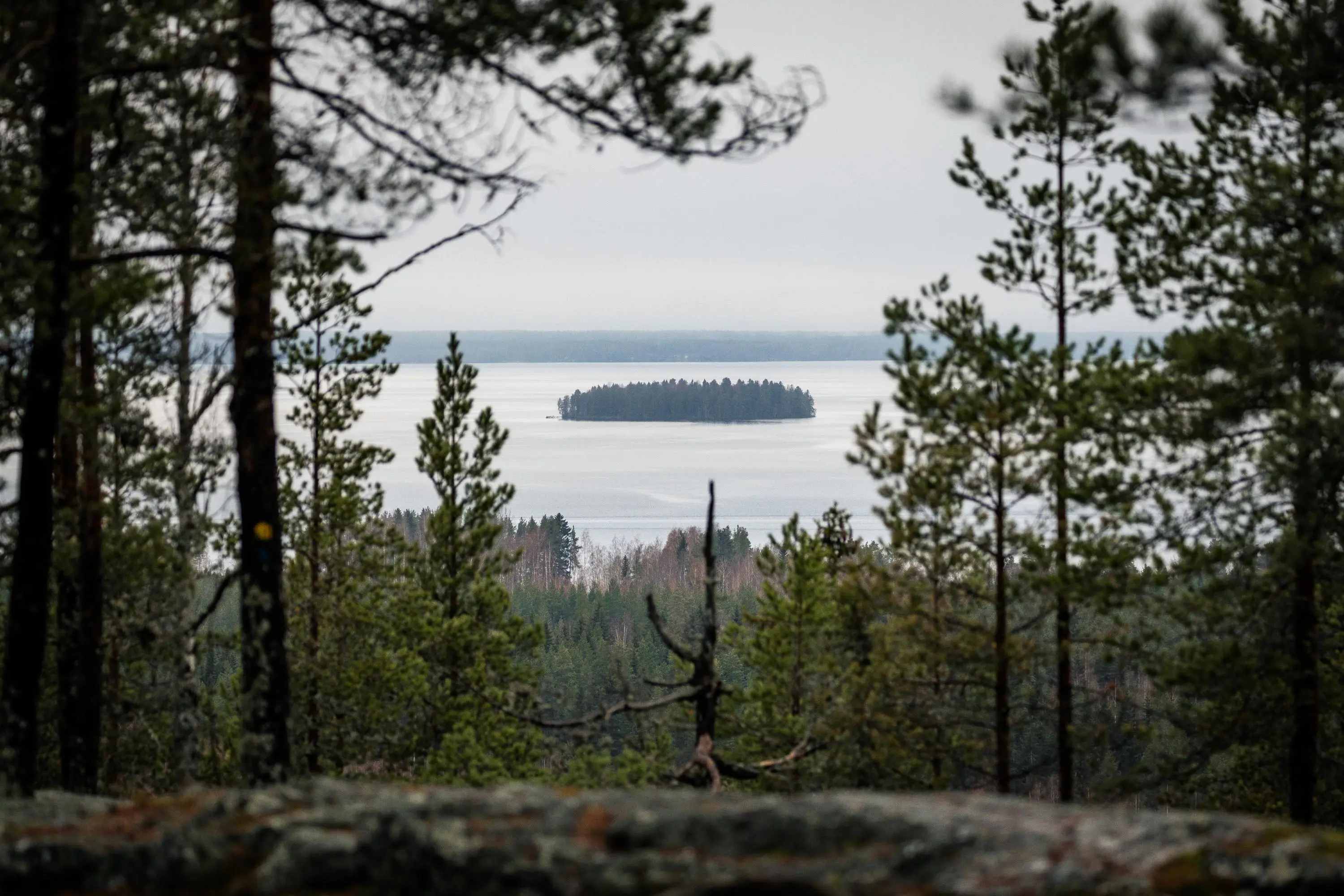 Image: Kraatterijärvi Geopark A summery view from a high hill toward the lake.