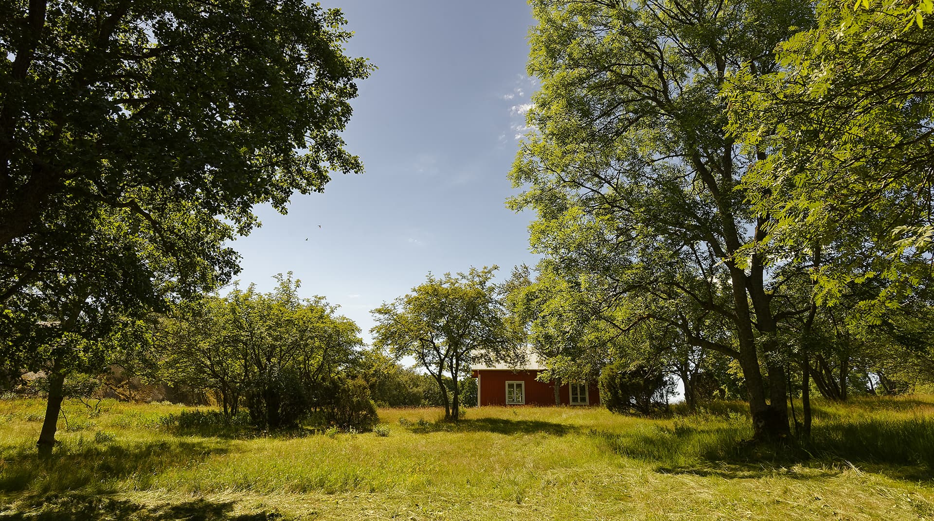 Image: Jani Virtanen Large trees in the green yard and a red wooden building further back