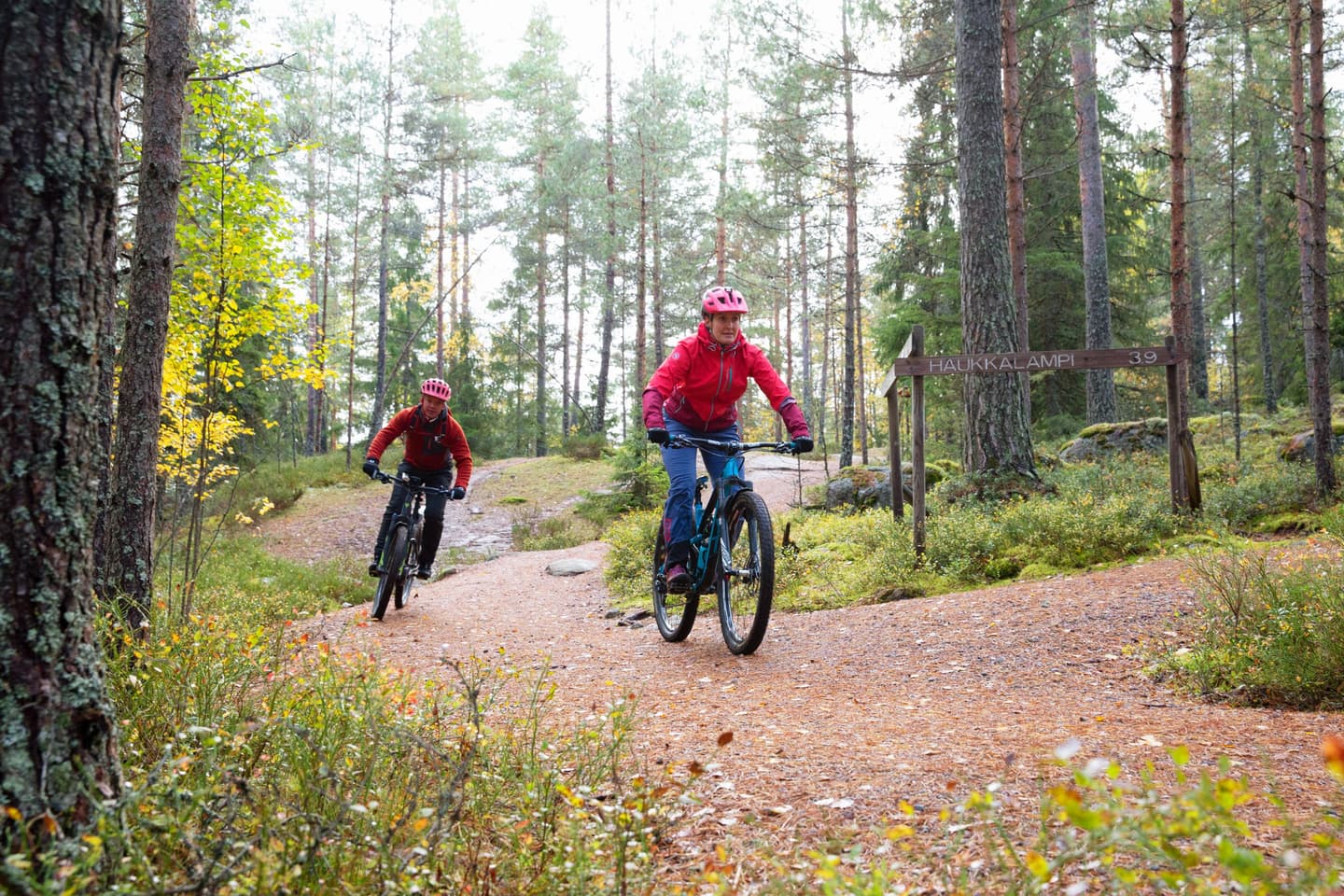 Two mountain bikers cycling on a trail.