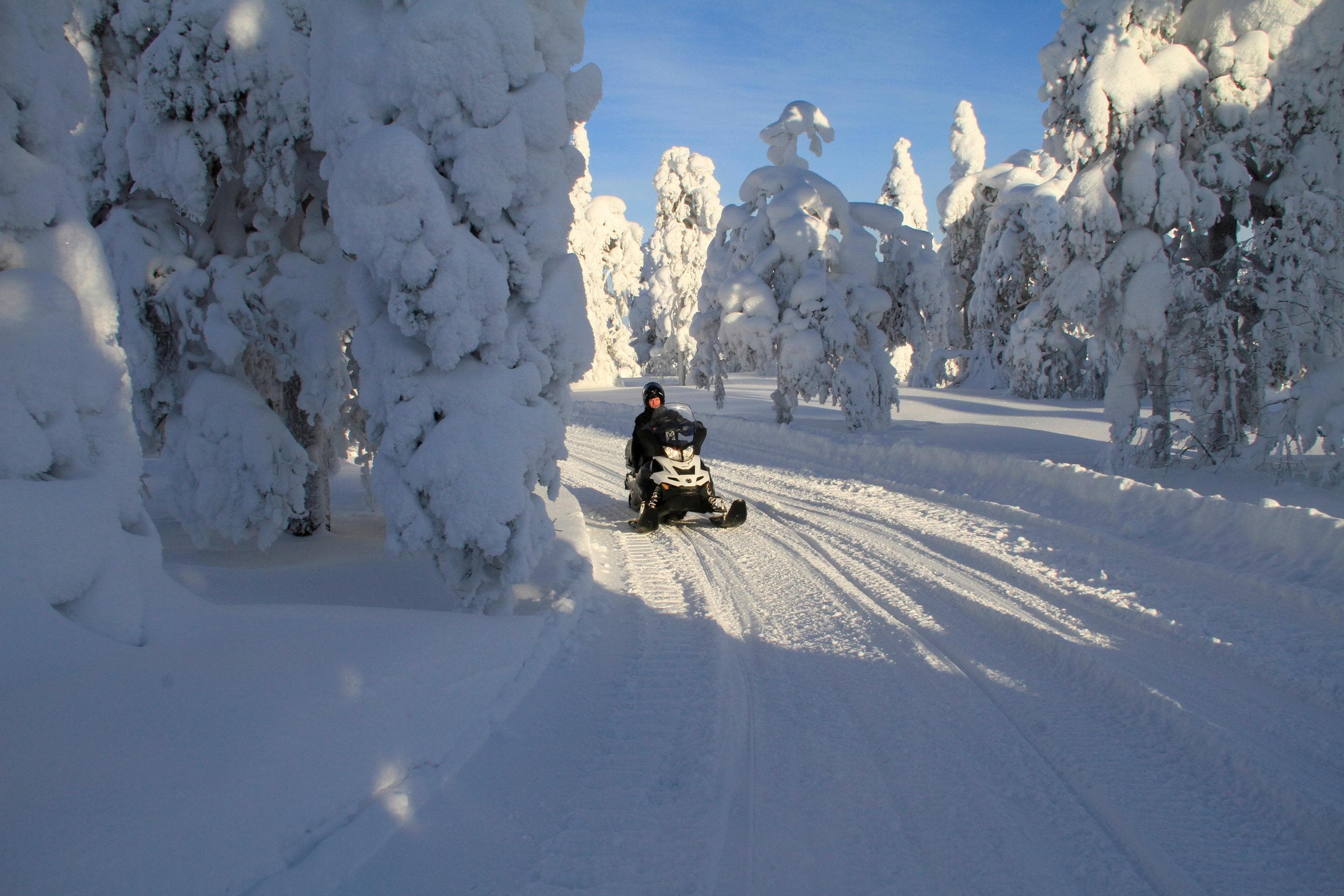 Image: Pekka Hänninen Moottorikelkkailu