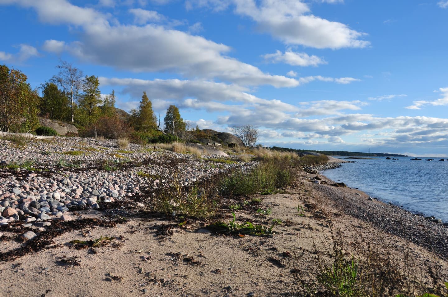 Image: Heidi Arponen Sandy and rocky seashore, trees in the background and clouds in the sky