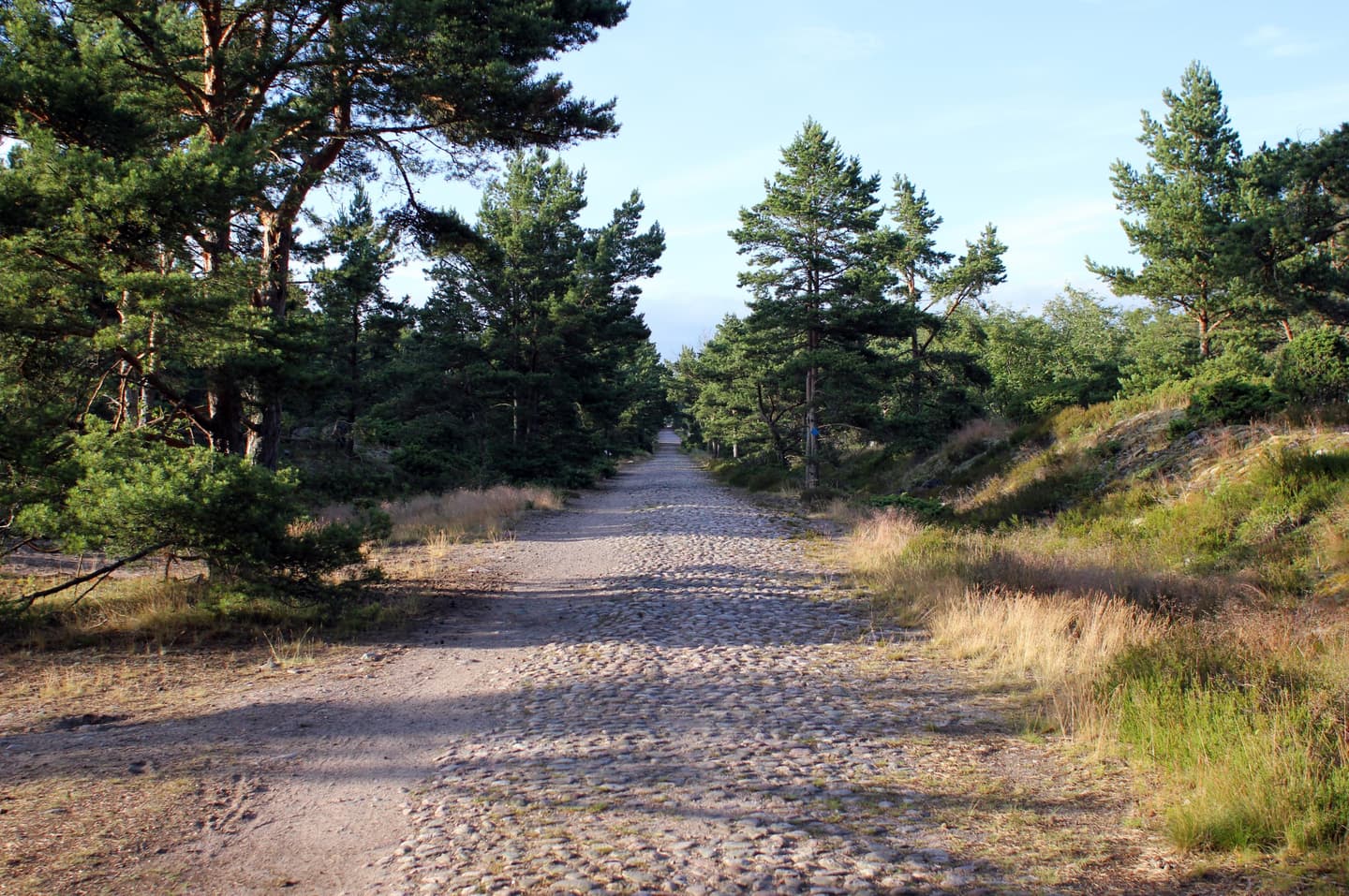 Kullerstensväg på Örö i Skärgårdshavets nationalpark