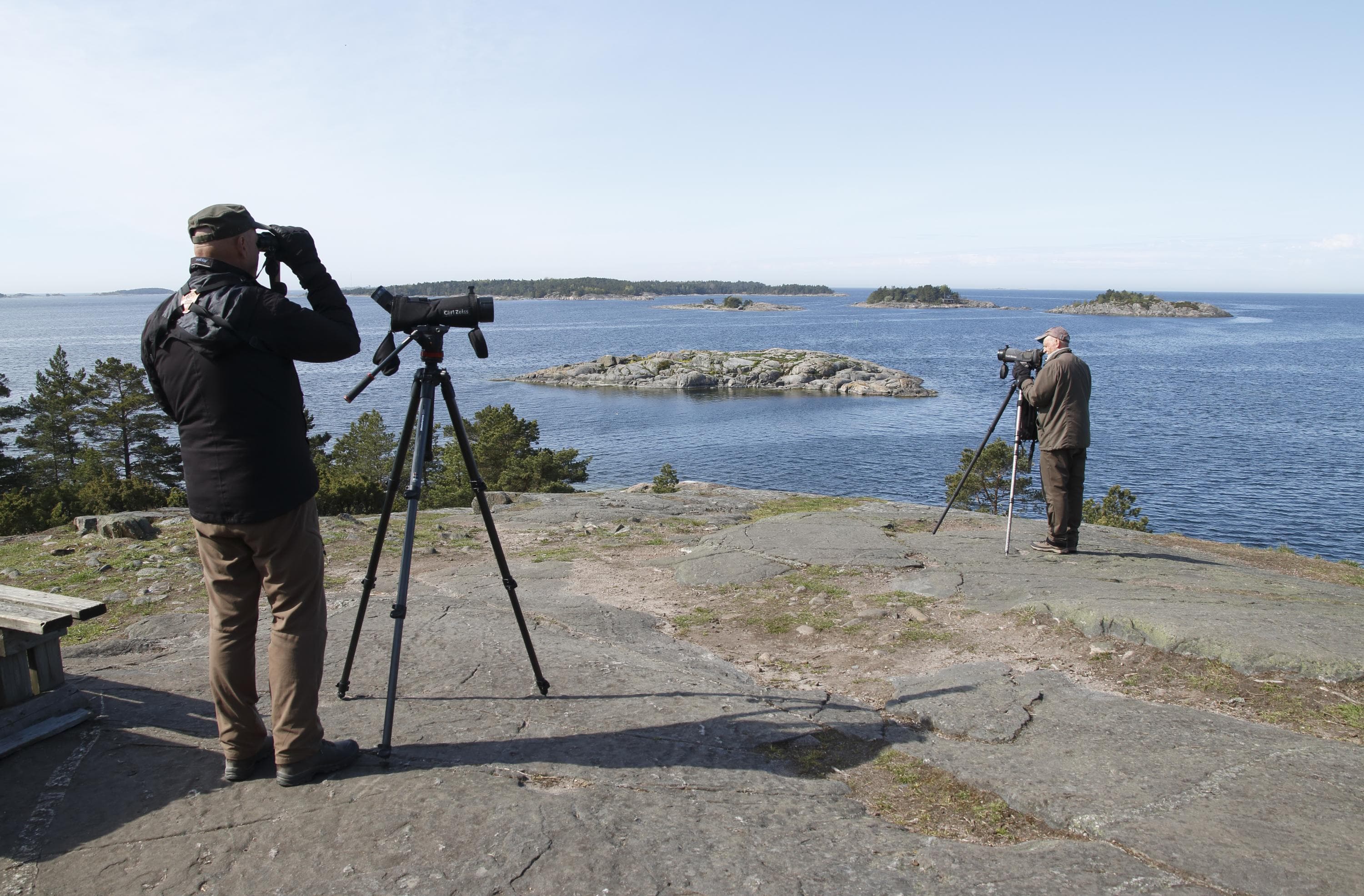 Bild: Jussi Helimäki Fågelskådare kikar från klippan långt ut i havet.