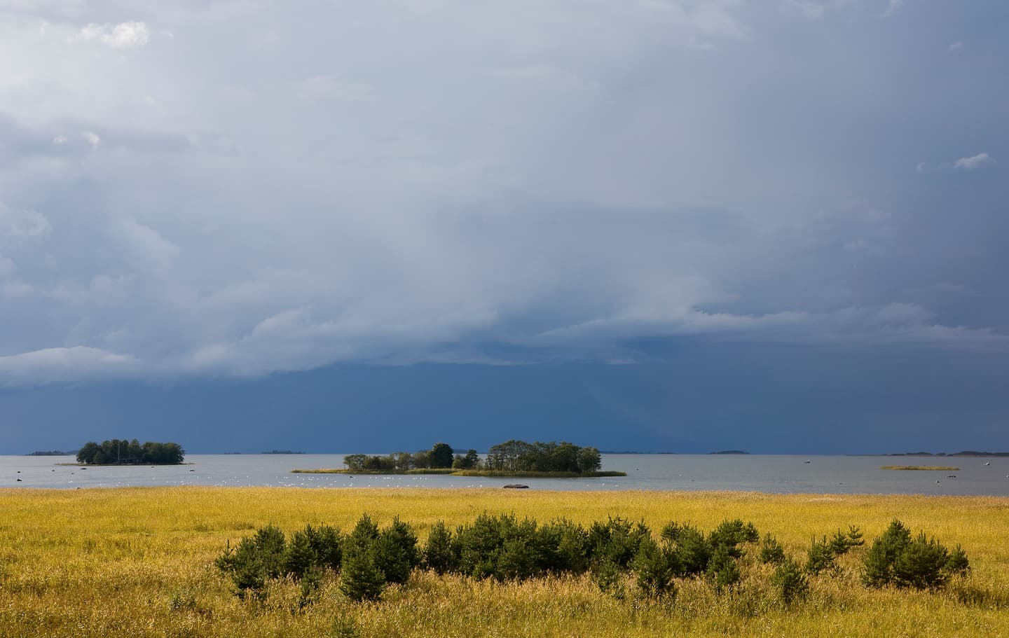 Image: Seppo Keränen An autumn field with the sea opening up behind it.