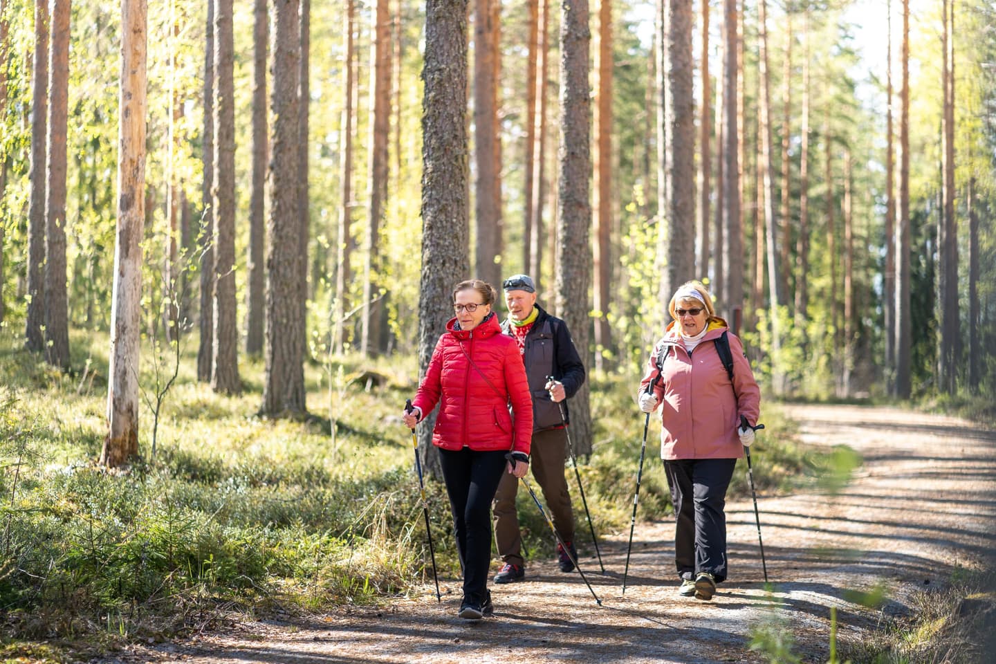 Govva: Mitja Piipponen Three people are walking on a flat forest road in a sparse pine forest.