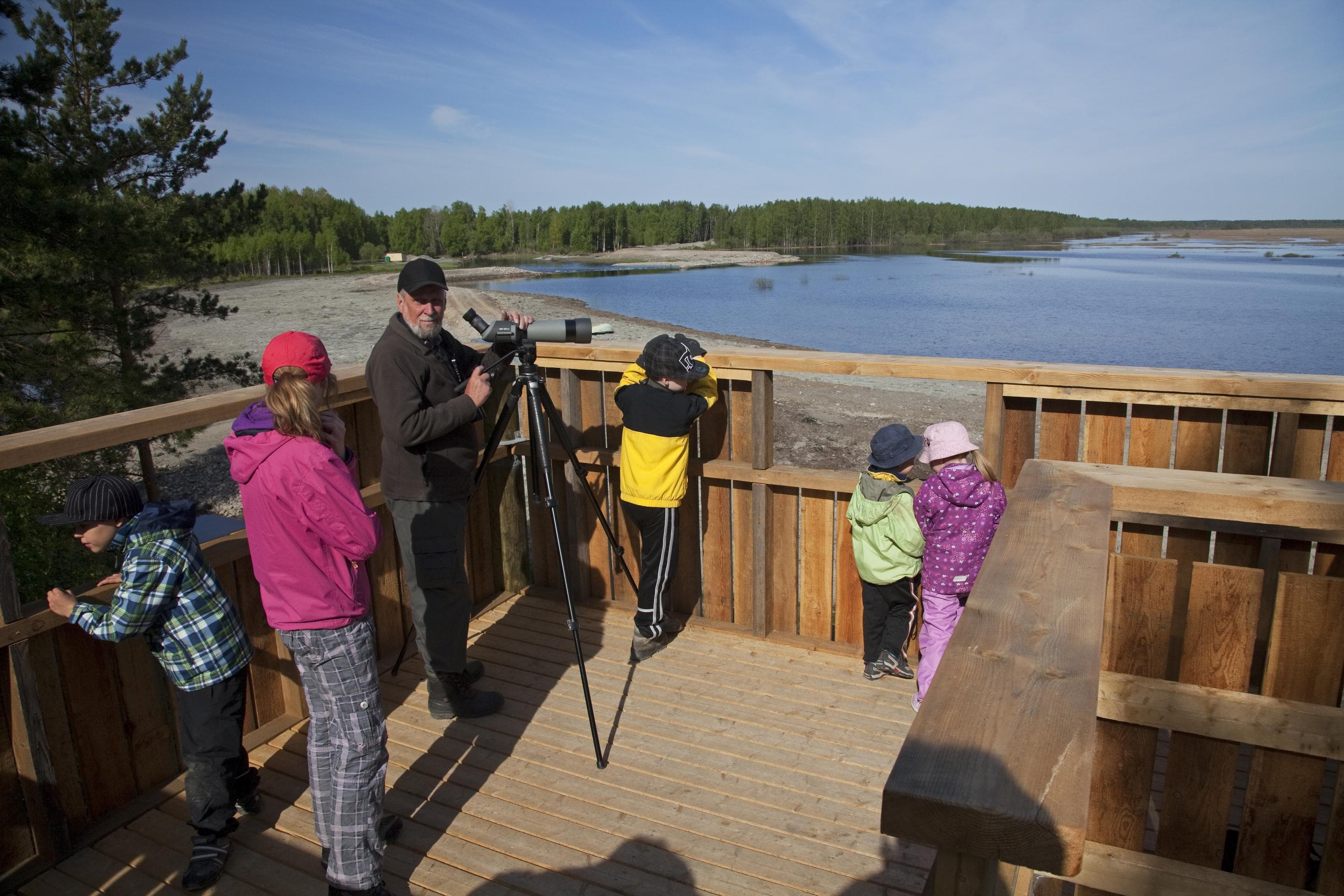 Bild: Jarno Laitinen En man och fem barn i fågeltornet. Mannen har ett teleskop med stativ. Från fågeltornet utbreder sig ett soligt sjölandskap.