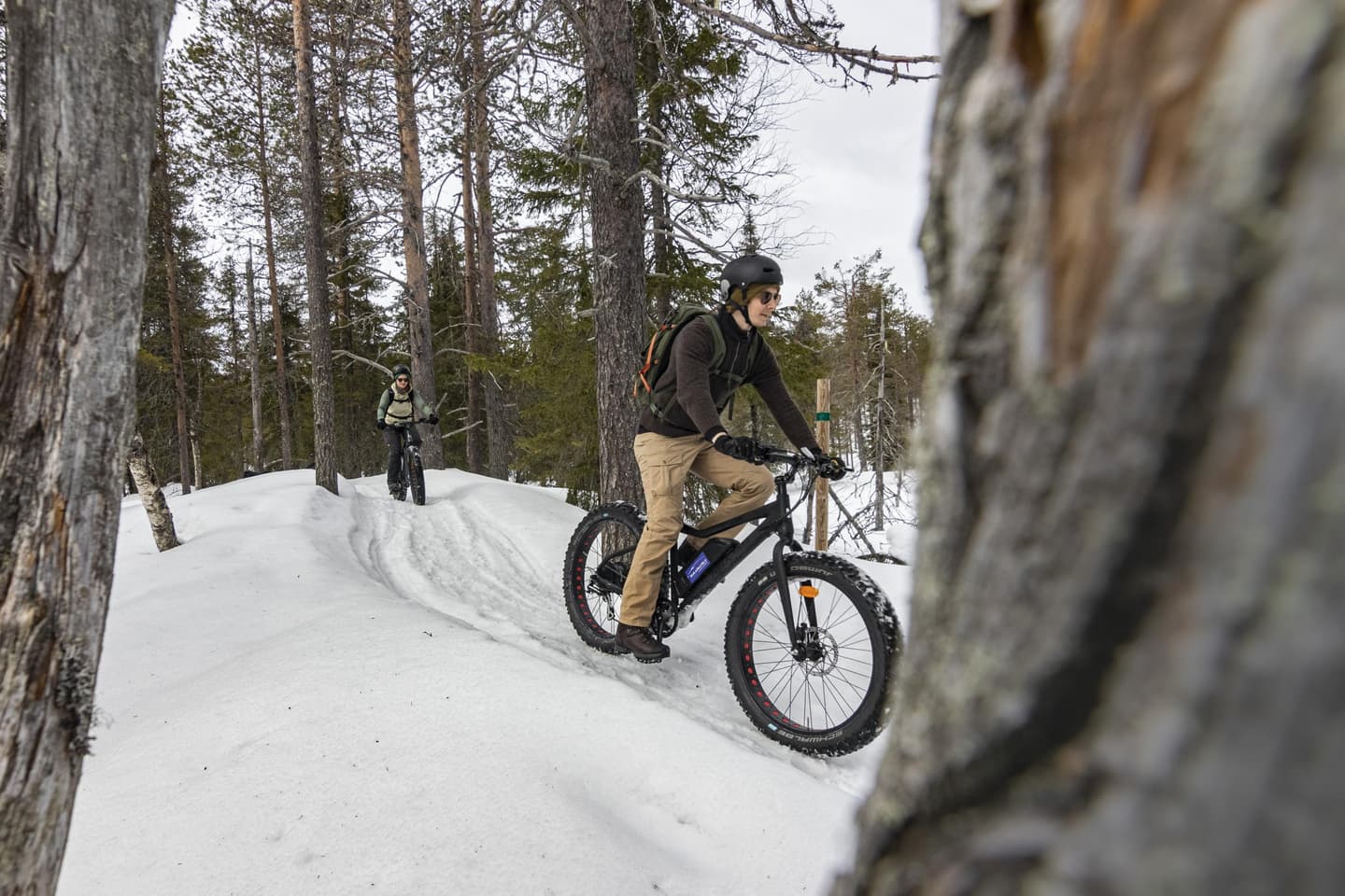 Cyclists ride fatbikes along a snowy route in the winter forest.