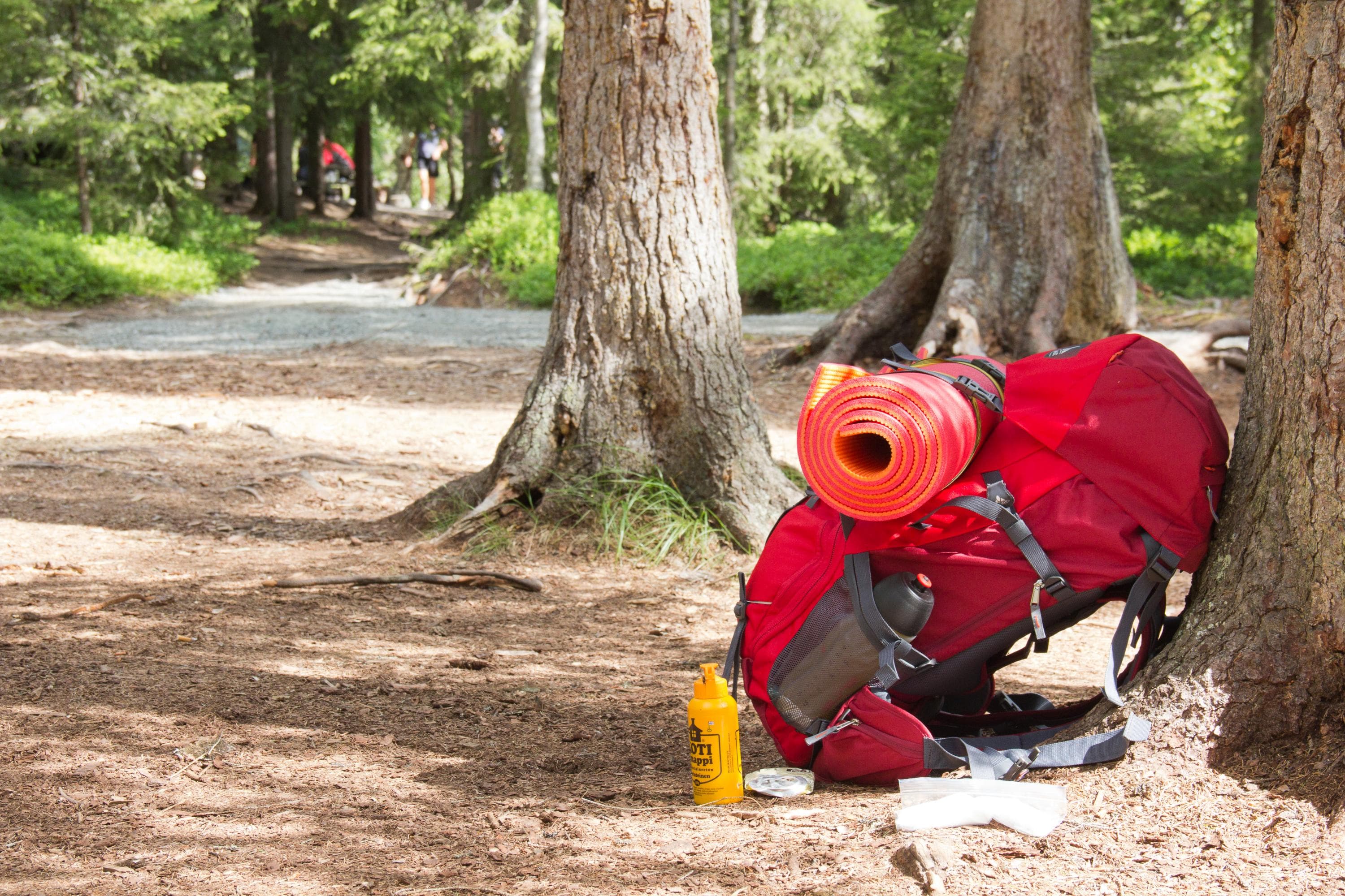 Image: Siru-Leena Mukkala A backpack is leaning against a tree trunk beside the trail.