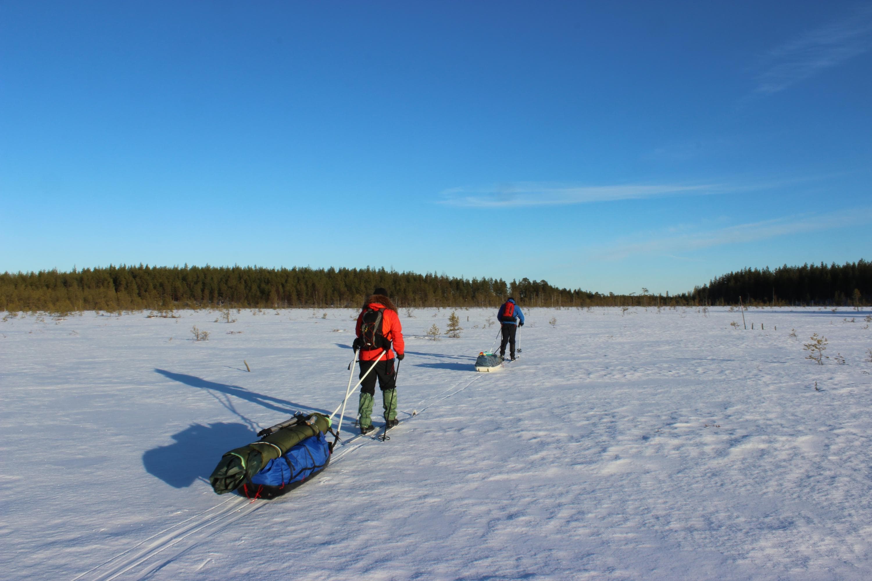 Bild: Minna Jakosuo Skidåkare drar pulkor efter sig i det snöiga och öppna landskapet.