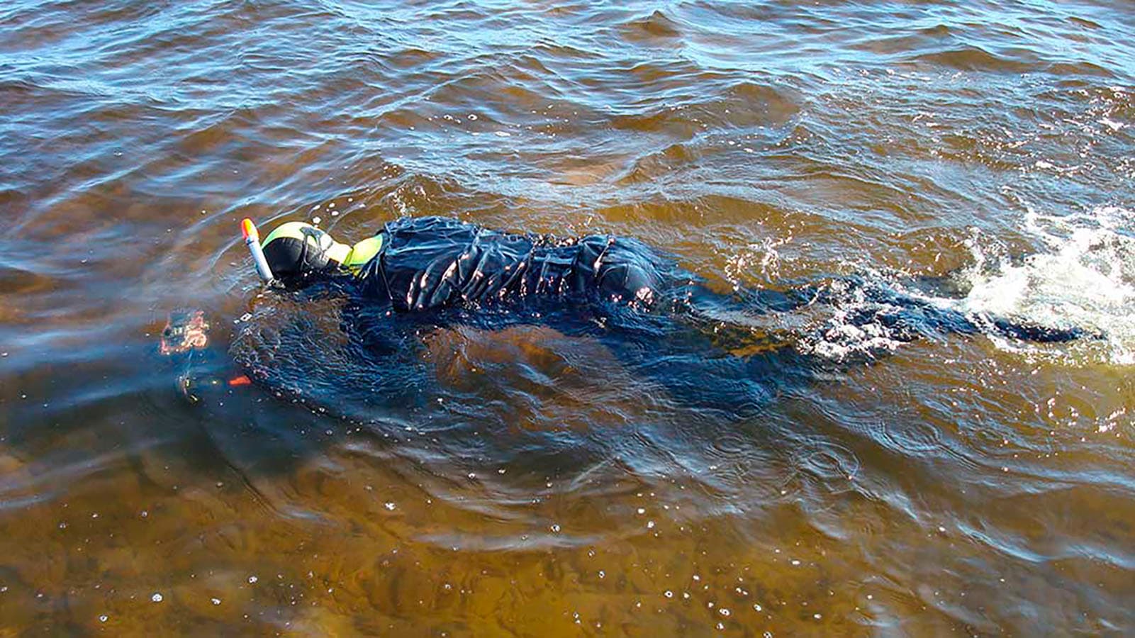 Kuva: Johanna Kehus Sukeltaja on matalassa rantavedessä. Snorkkeli on veden pinnan yläpuolella.