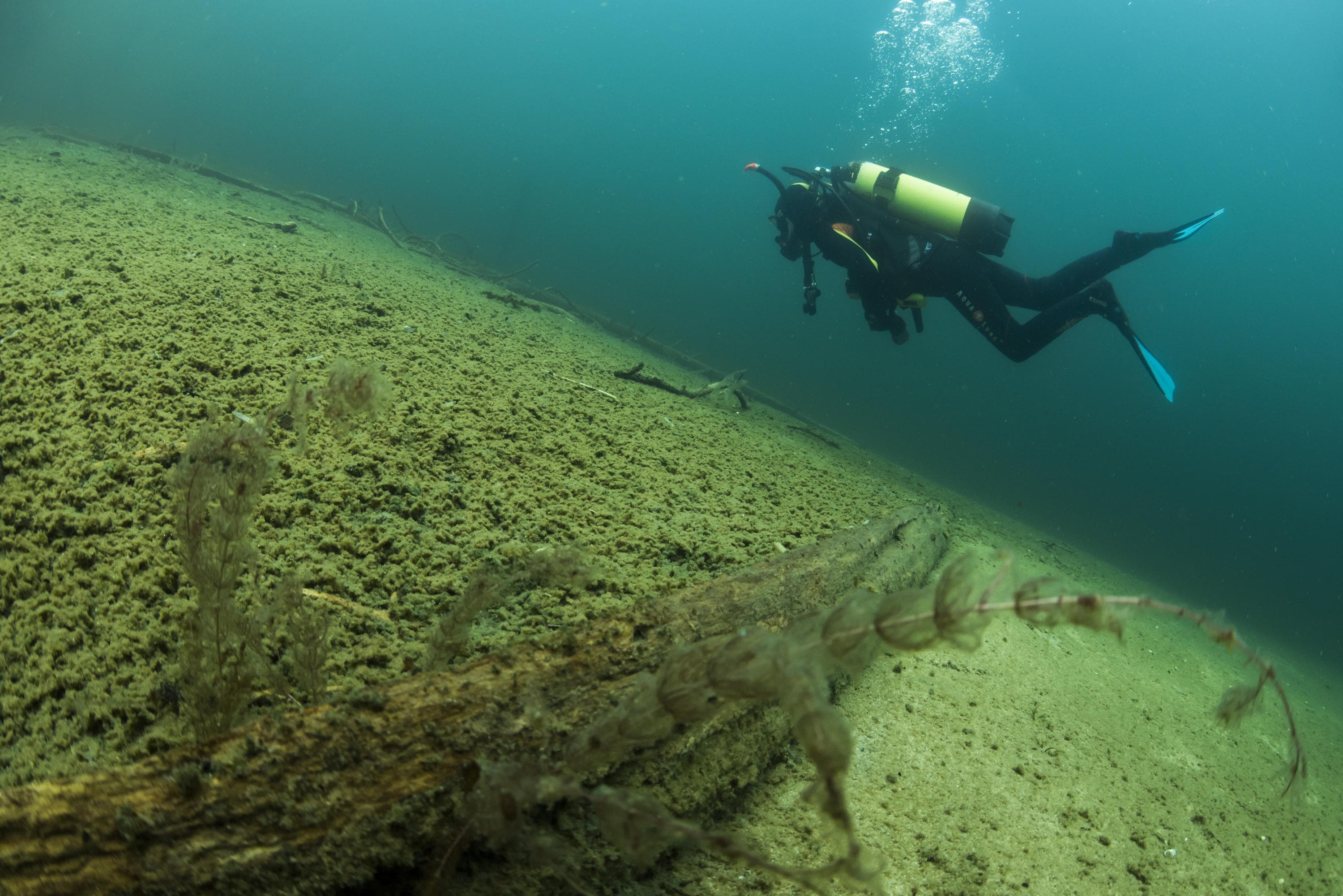 Bild: Jari Ilmonen En dykare är under vattnet nära havsbotten.