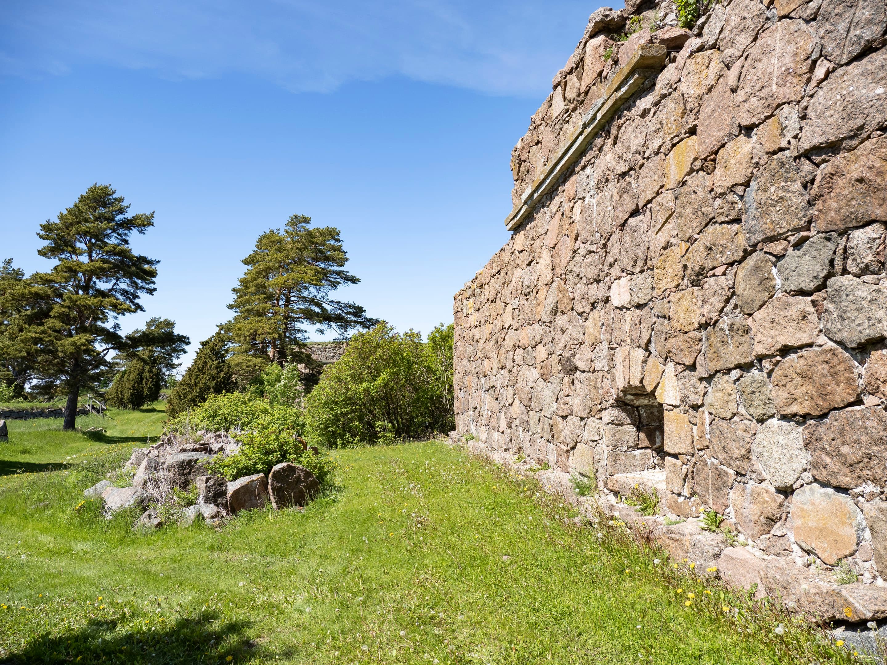 Kuva: Jari Kostet Muuri puita kasvavan avoimen alueen vieressä.