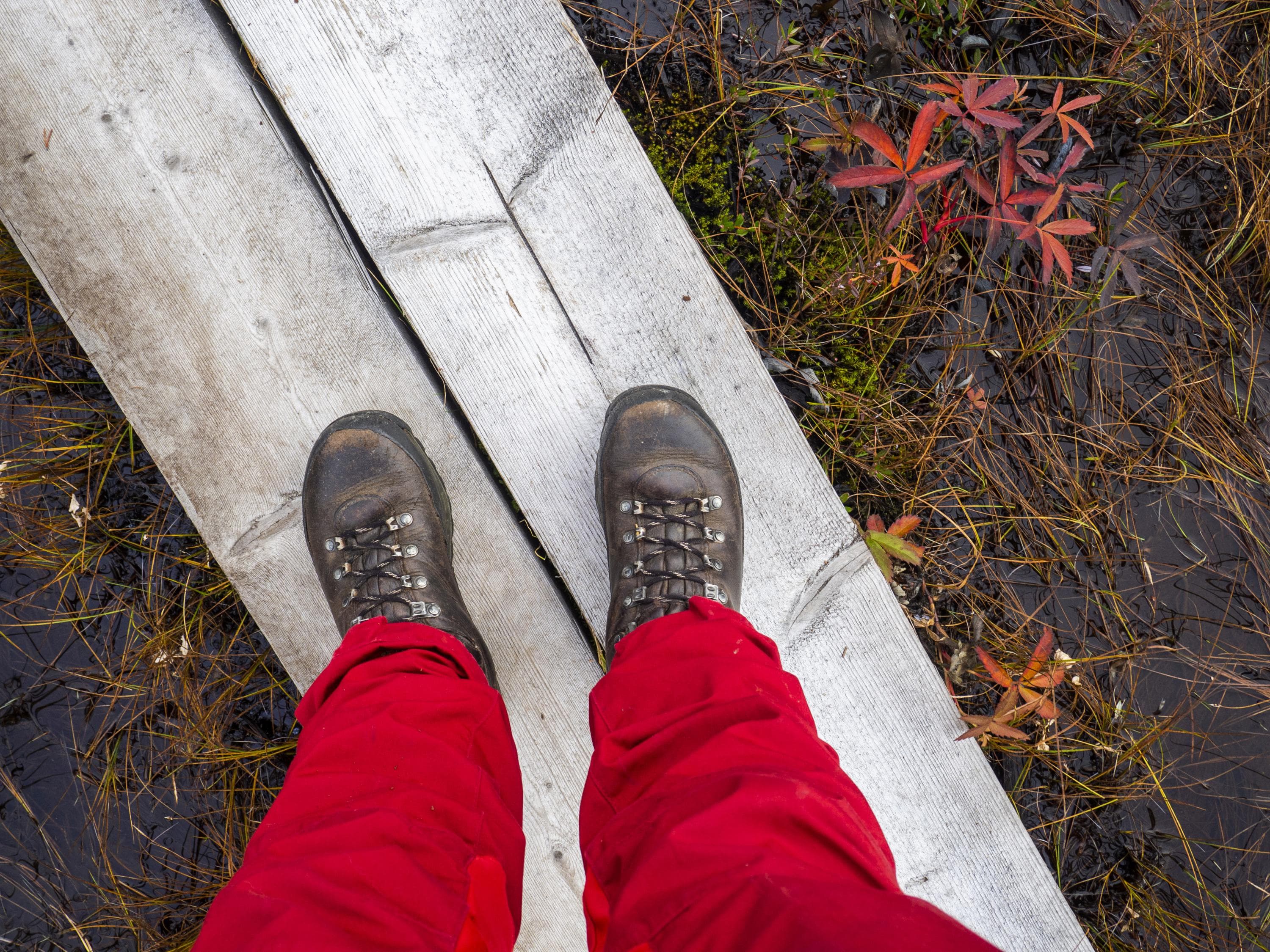 Bild: Anna Pakkanen En vandrare står på spångar. Bilden visar fötterna uppifrån, vandraren har röda byxor och läderkängor. Runtomkring finns myrväxter.