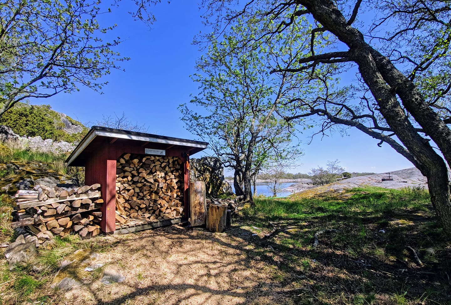 Image: Jani Virtanen Front curving deciduous trees and a woodshed with lots of firewood. Behind the rock and the sea.
