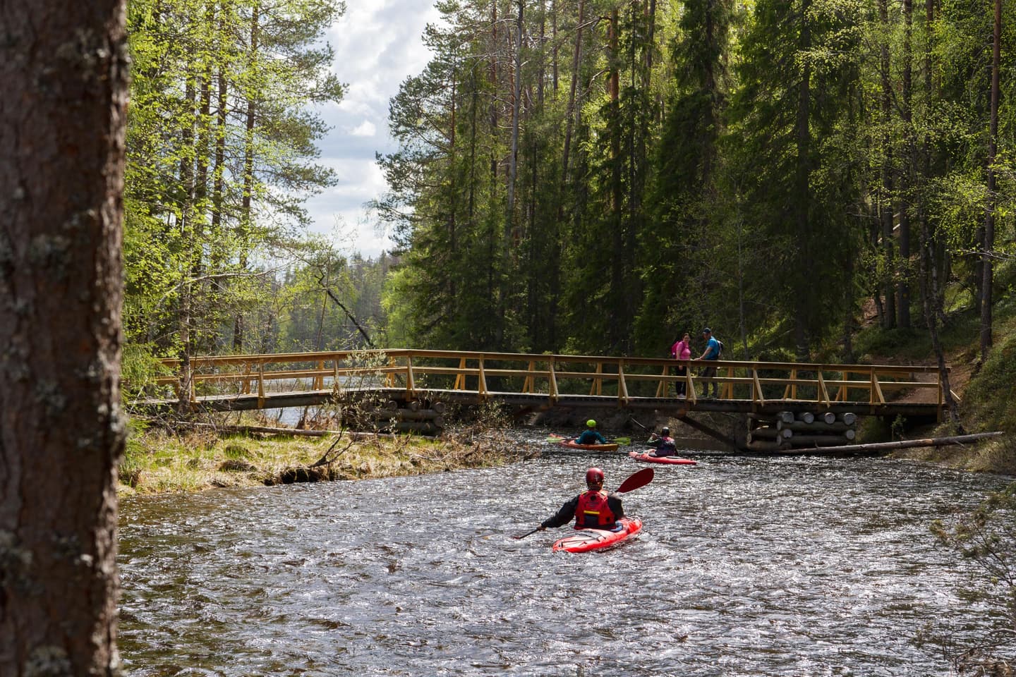 Kuva: Erkki Ollila Melojat alittamassa joen yli menevää siltaa keväällä. Sillalla kaksi retkeilijää.