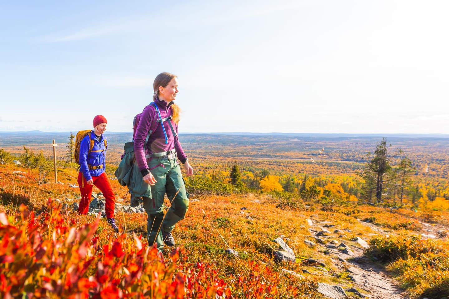Stenig led upp mot Aakenustunturi i finska Lappland