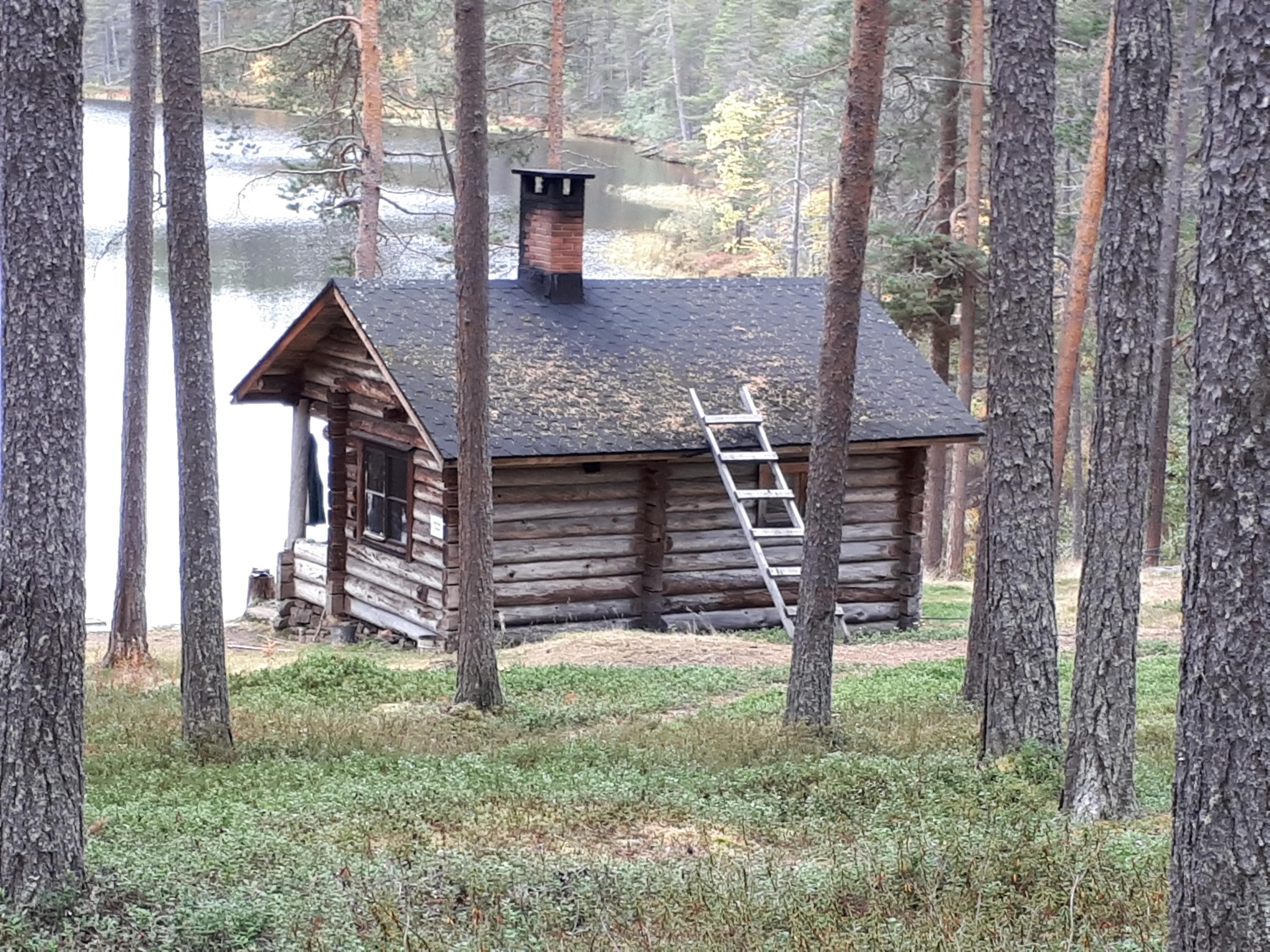 Kuva: Tuija Kangasniemi Pieni tupa sijaitsee järven rannalla mäntymetsässä.