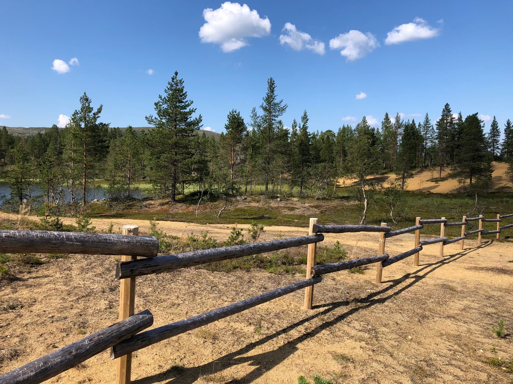 Kuva: Pirjo Seurujärvi Hietikkoon rakennettua puista aitaa etualalla. Aidan tarkoitus on estää liikkumista taustalla näkyvän lammen rannoilla.