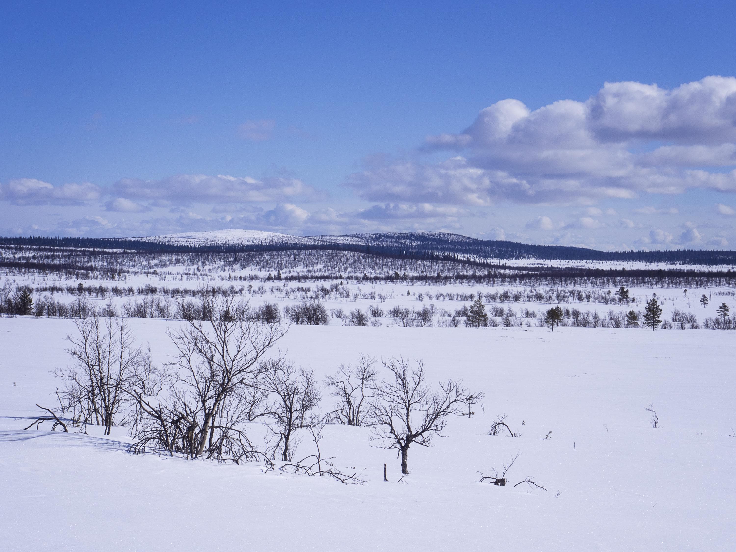 Bild: Anna Pakkanen Ett snöigt fjällandskap.