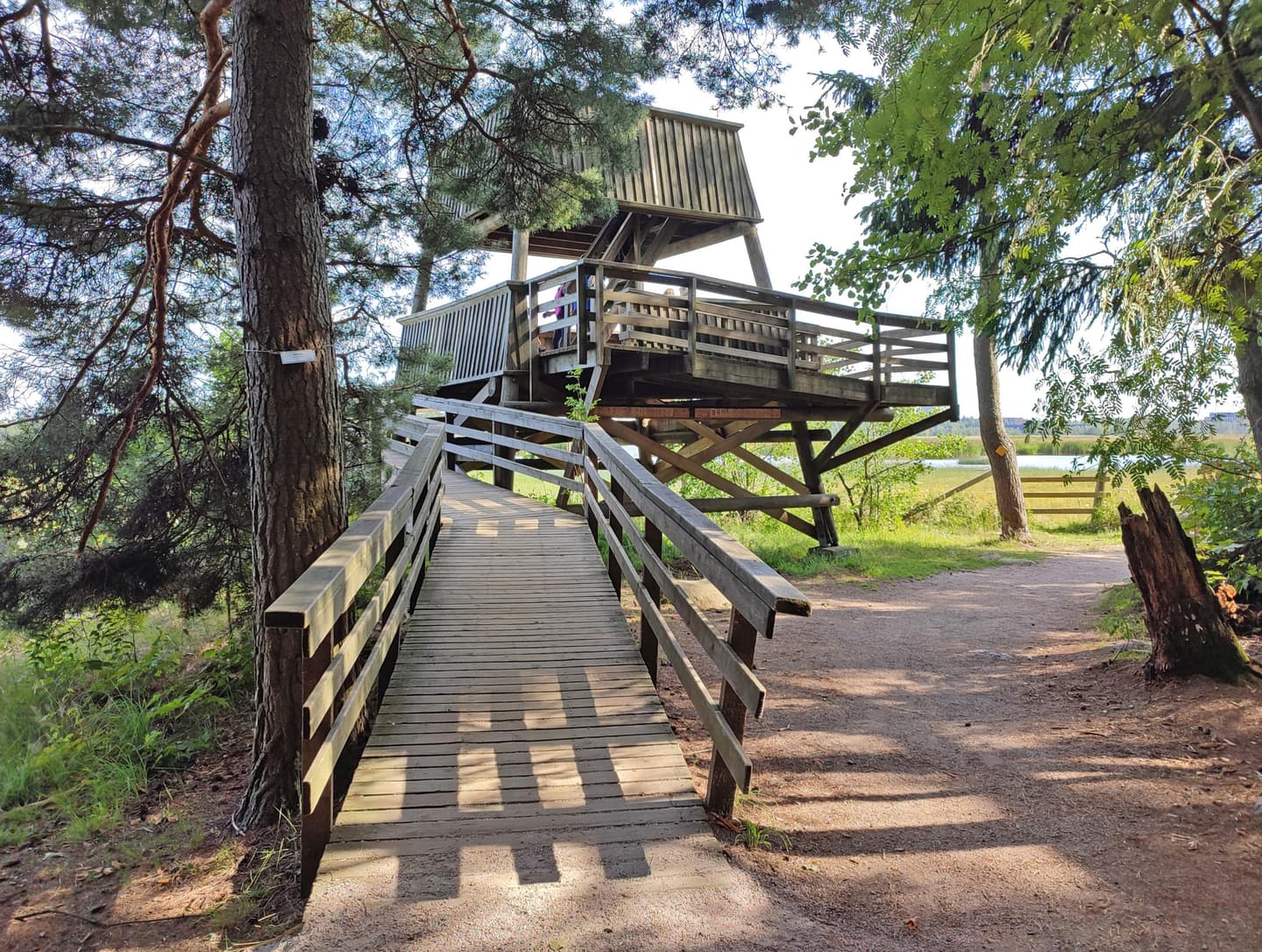 Image: Jussi Helimäki Wooden bird tower is also accessible.