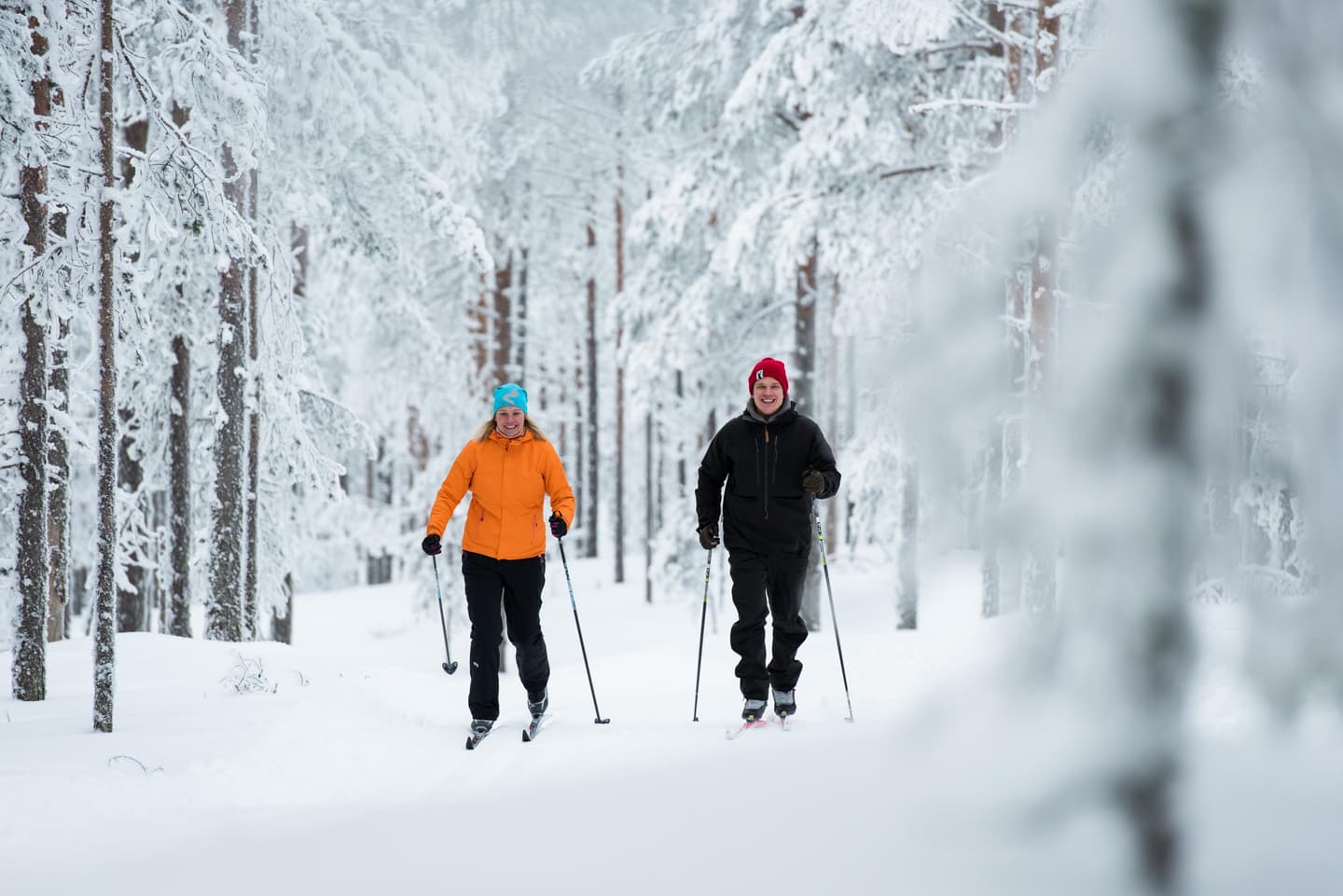 Govva: Eeva Mäkinen Two skiers in the middle of the snow-covered forest.