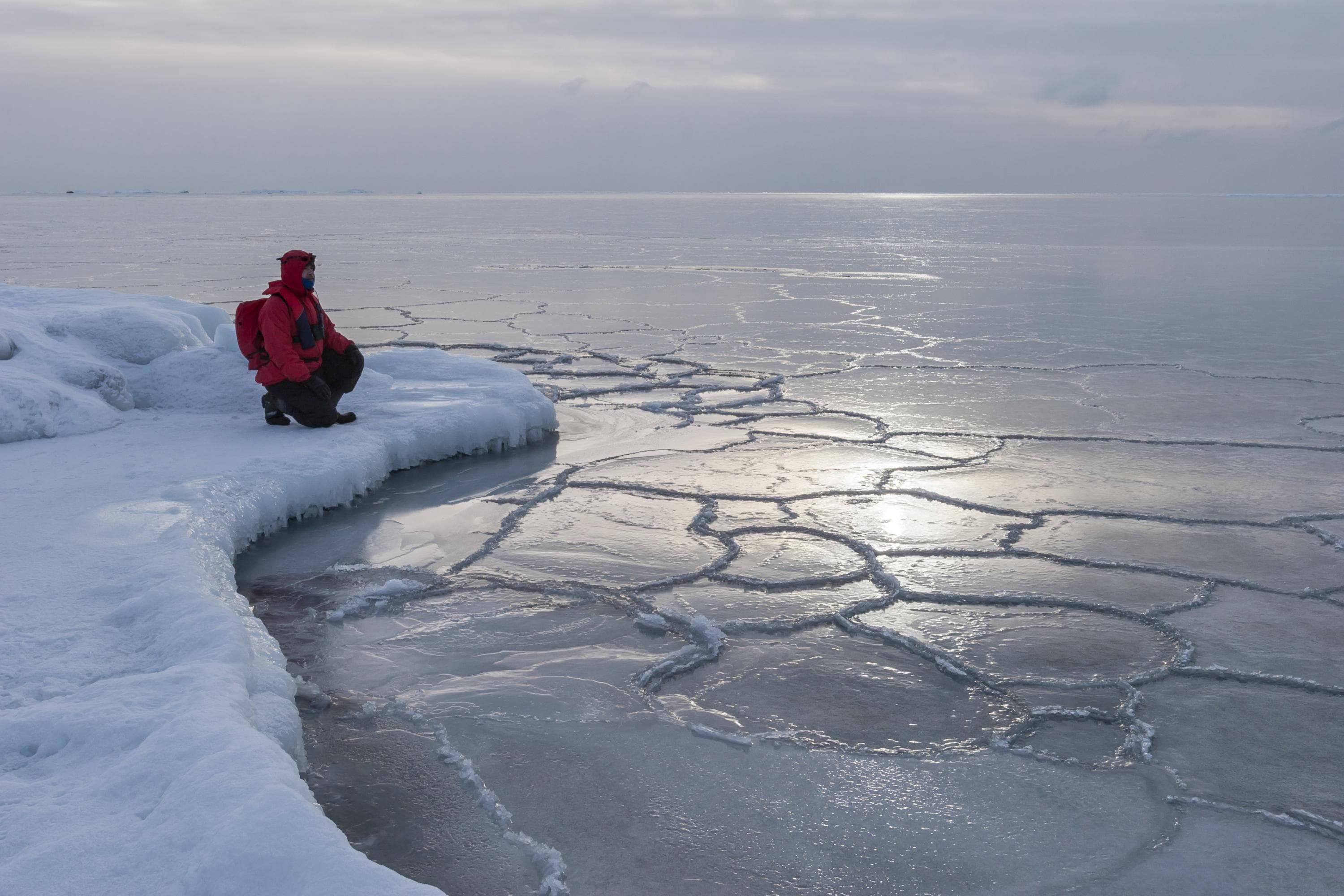Image: Timo Nieminen A person crouches near the freshly frozen sea, looking towards the horizon.