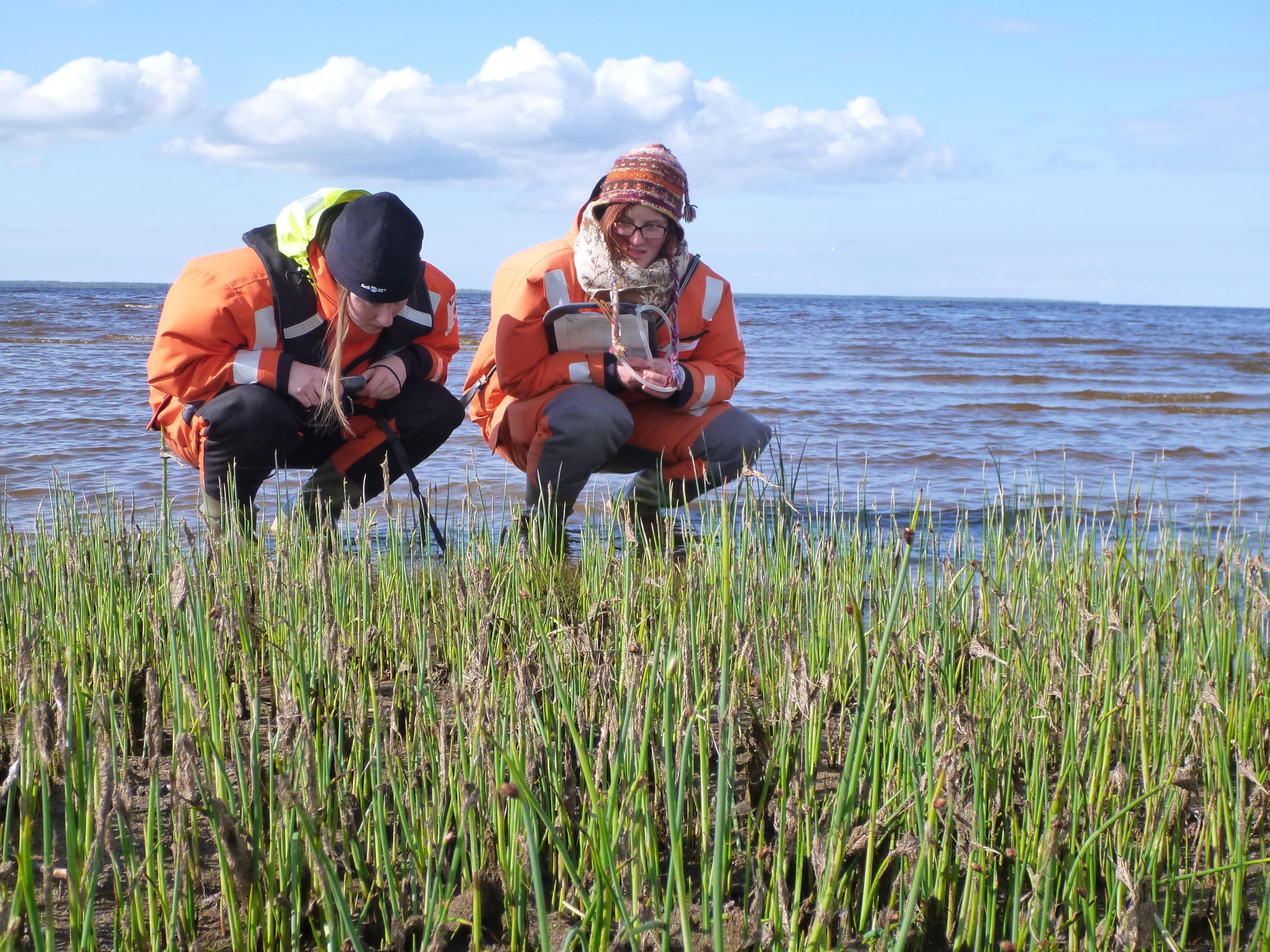 Kuva: Lari Järvinen Kaksi työasuista henkilö kyykistyneenä tutkimaan meren rannan kasvillisuutta.