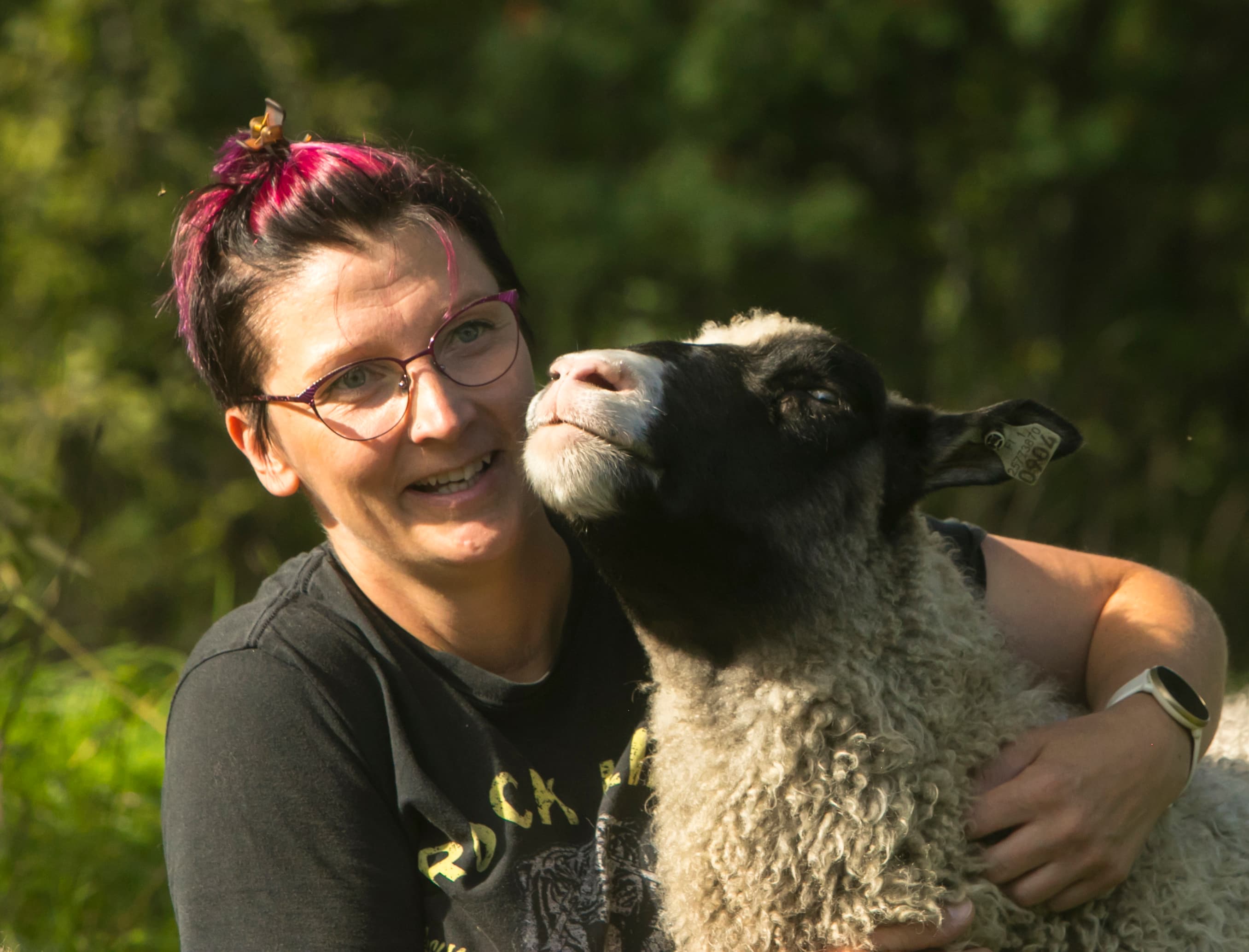 Kuva: Kirsti Hassinen Ihminen rapsuttaa lammasta ja aurinko paistaa molempia naamaan.