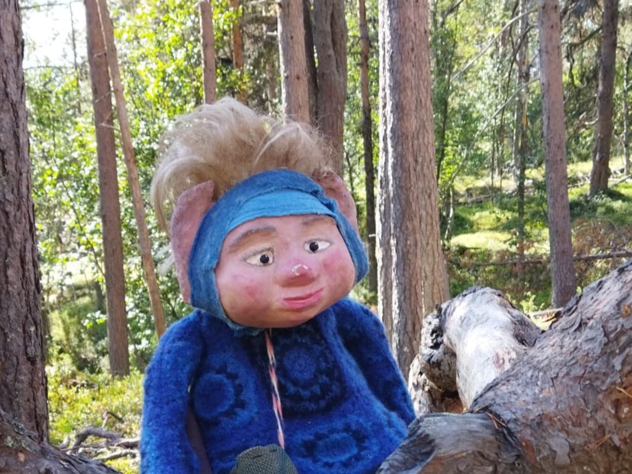 Kuva: Kristiina Aikio Menninkäinen istuu puun oksalla. Sillä on pörröinen tukka, siniset vaatteet ja ruskeat tossut.