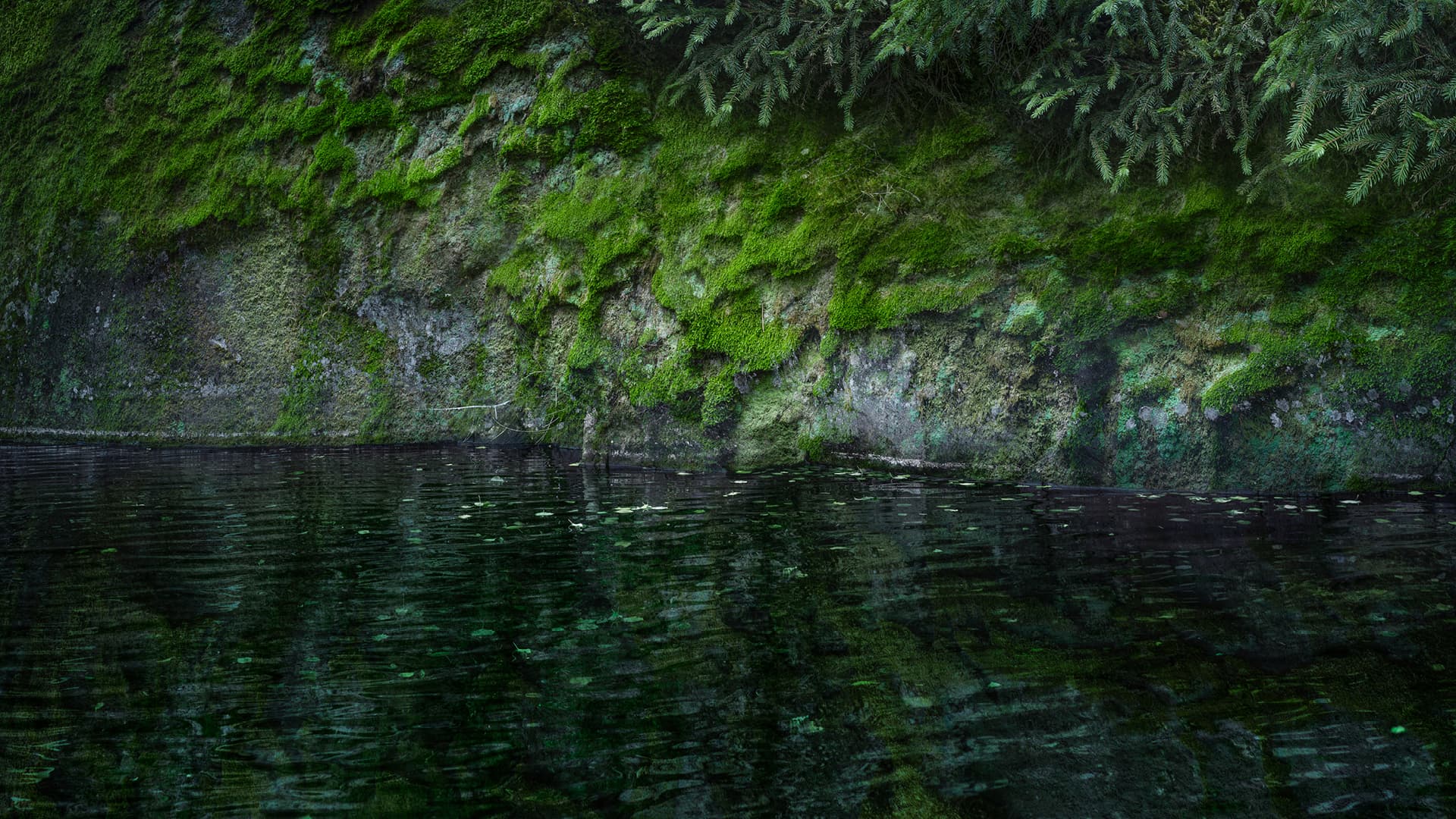 Image: HAM / Helsinki Biennaali On the steep cliff descending into the sea, there is a lot of moss growing.