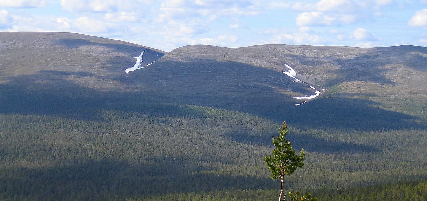 Kuva: Petteri Polojärvi Tunturimaisema, edessä vihreää varvikkoa.