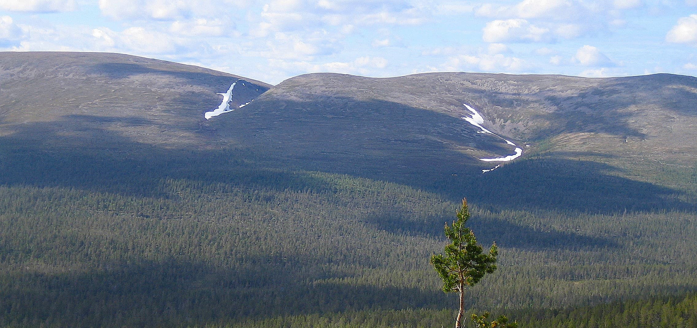 Image: Petteri Polojärvi Fell landscape.