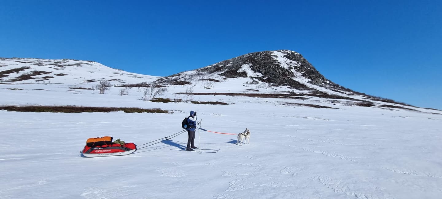 Bild: Annu Tuohiluoto En skidåkare med pulka och hund, med ett fjäll i bakgrunden.