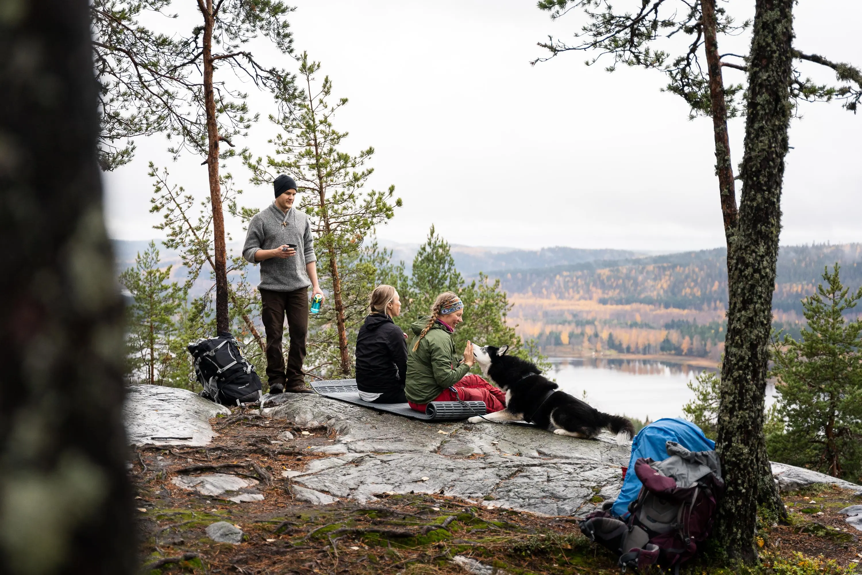 Image: Koli National Park. Photo: Mitja Piipponen. People and a dog are sitting on a rock in autumn.