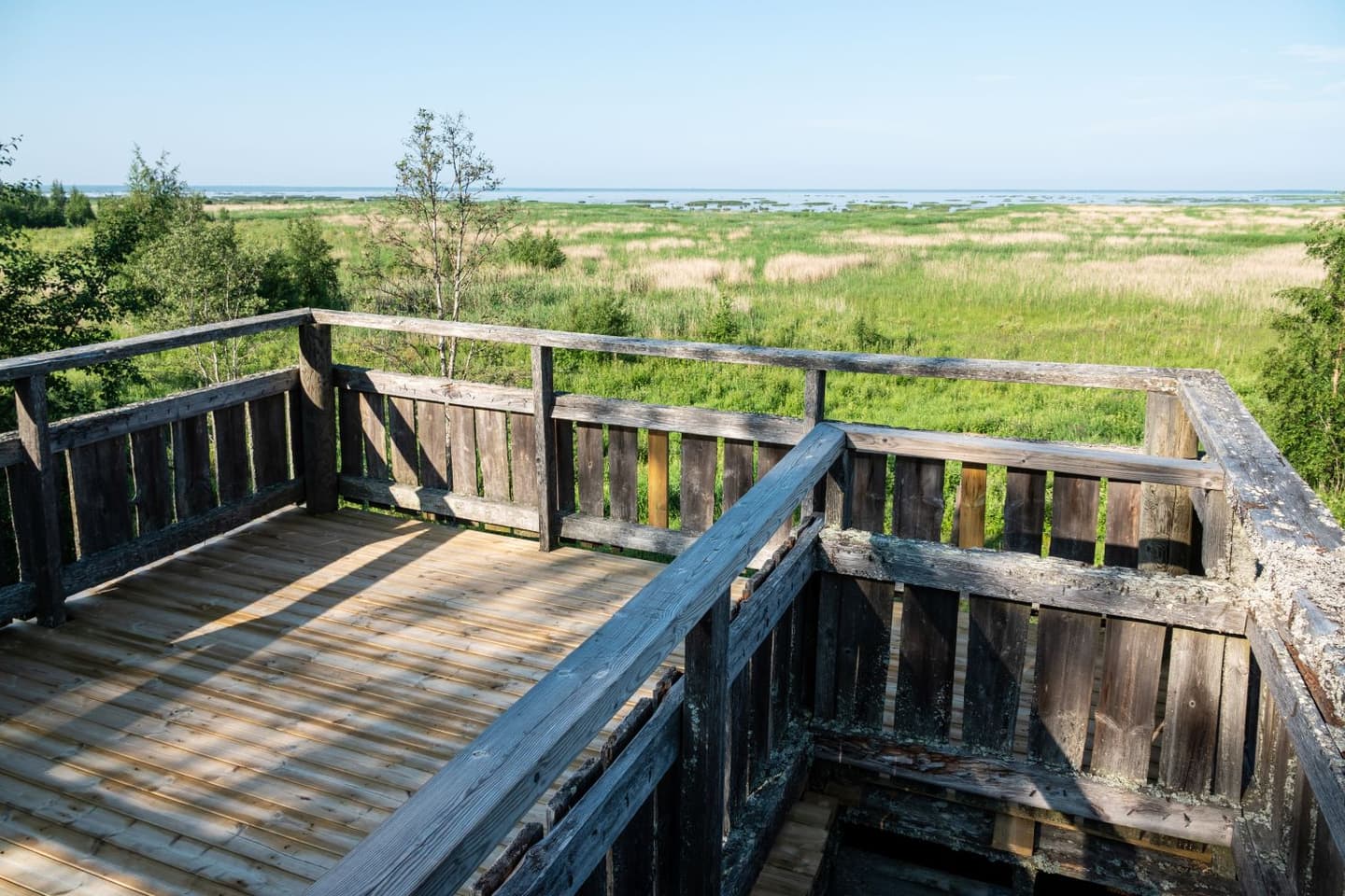 Image: Ismo Lampi View from the birdwatching tower over the sea bay. In front of the tower, there is a vast reed-covered and lush coastal meadow.
