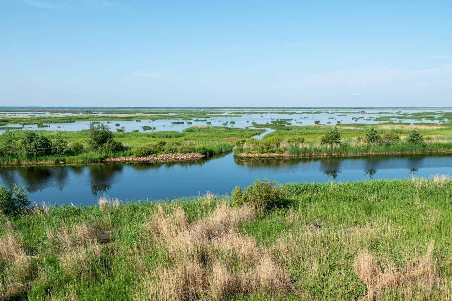 Image: Ismo Lampi A landscape dotted with bodies of water, reeds, and reed islets.