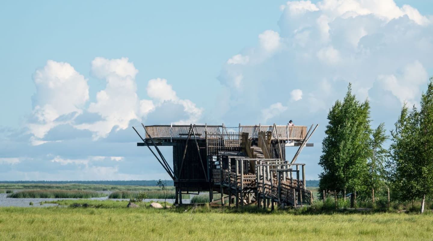 Image: Ismo Lampi Birdwatching tower on a lush coastal meadow.