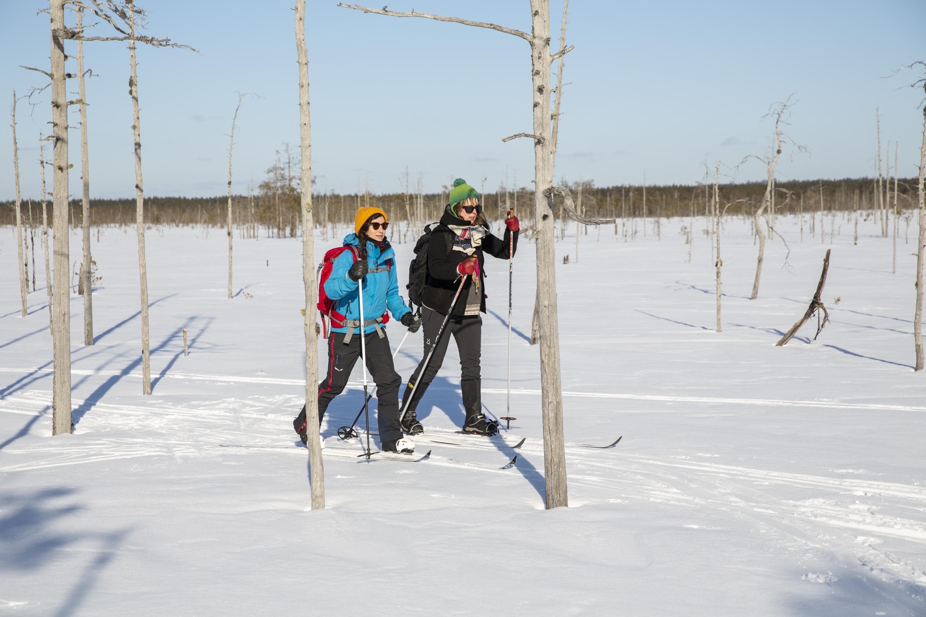 Image: Saara Lavi Two hikers are skiing across a snow-covered mire. Both have backpacks on their backs.