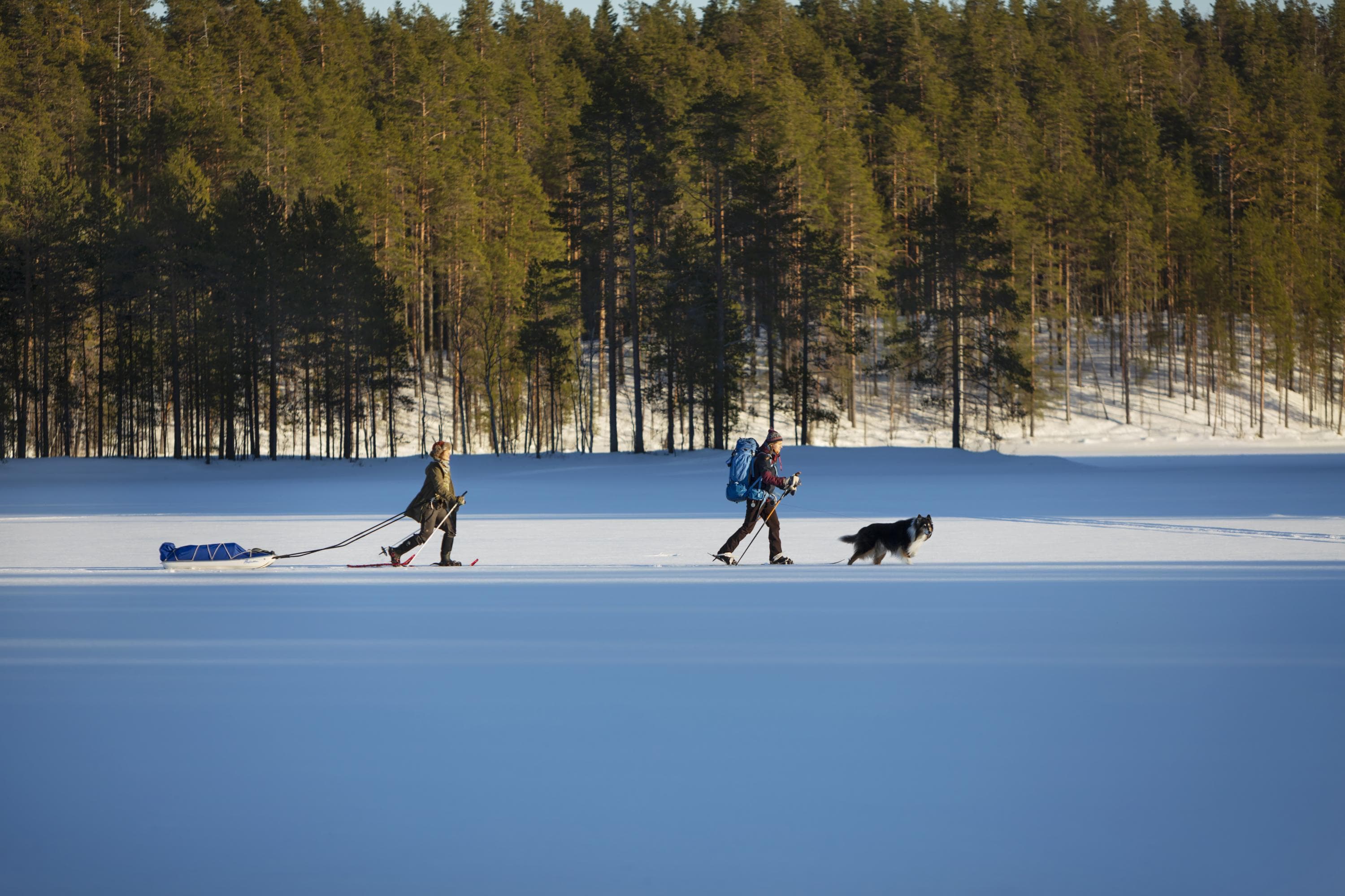 Bild: Johanna Kokkola Två skidvandrare färdas på isen. Den ena vandraren drar en pulka, och den andra har en hund med sig.
