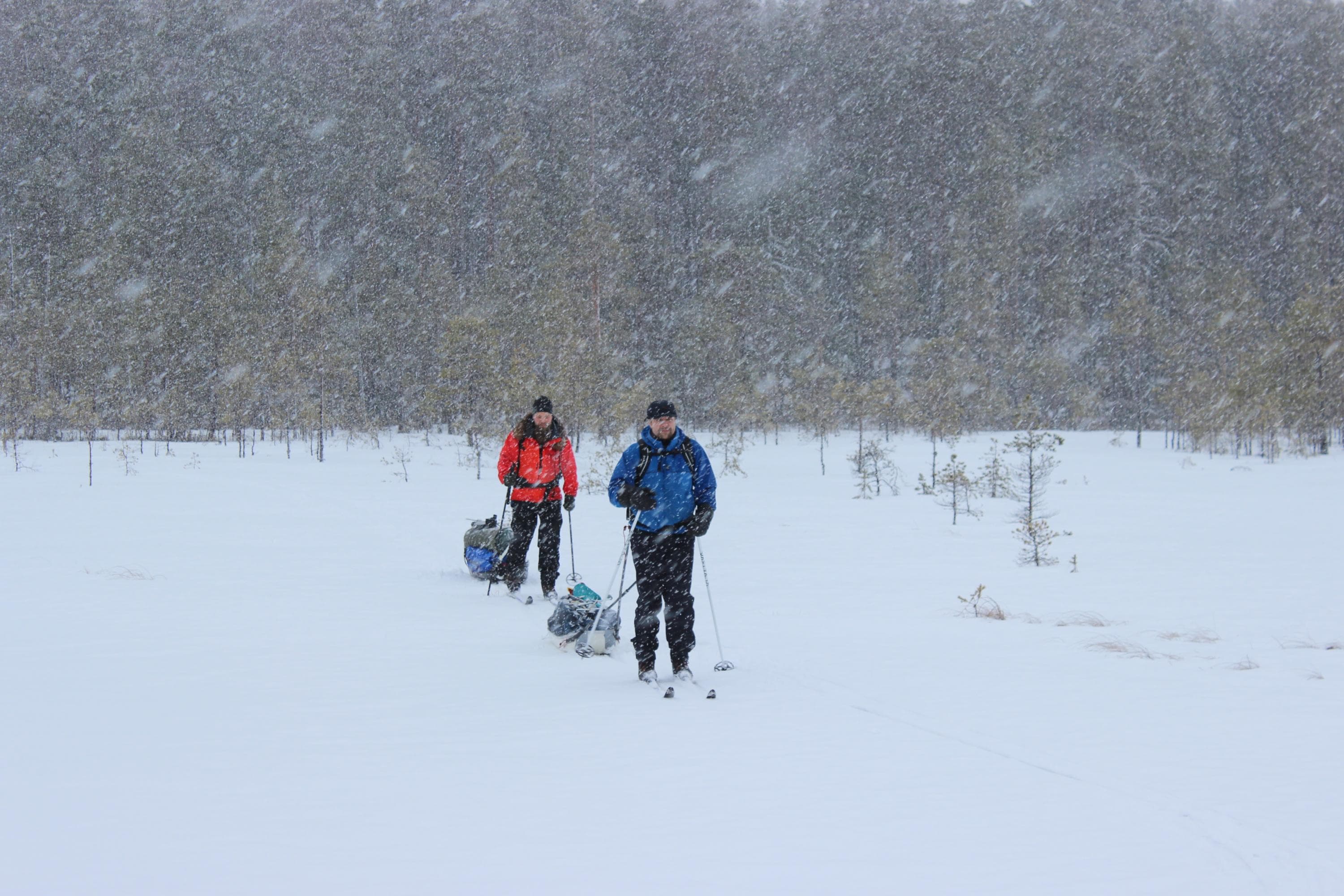 Image: Minna Jakosuo Two hikers ski across the bog in heavy snowfall. Each is pulling a sled behind them.