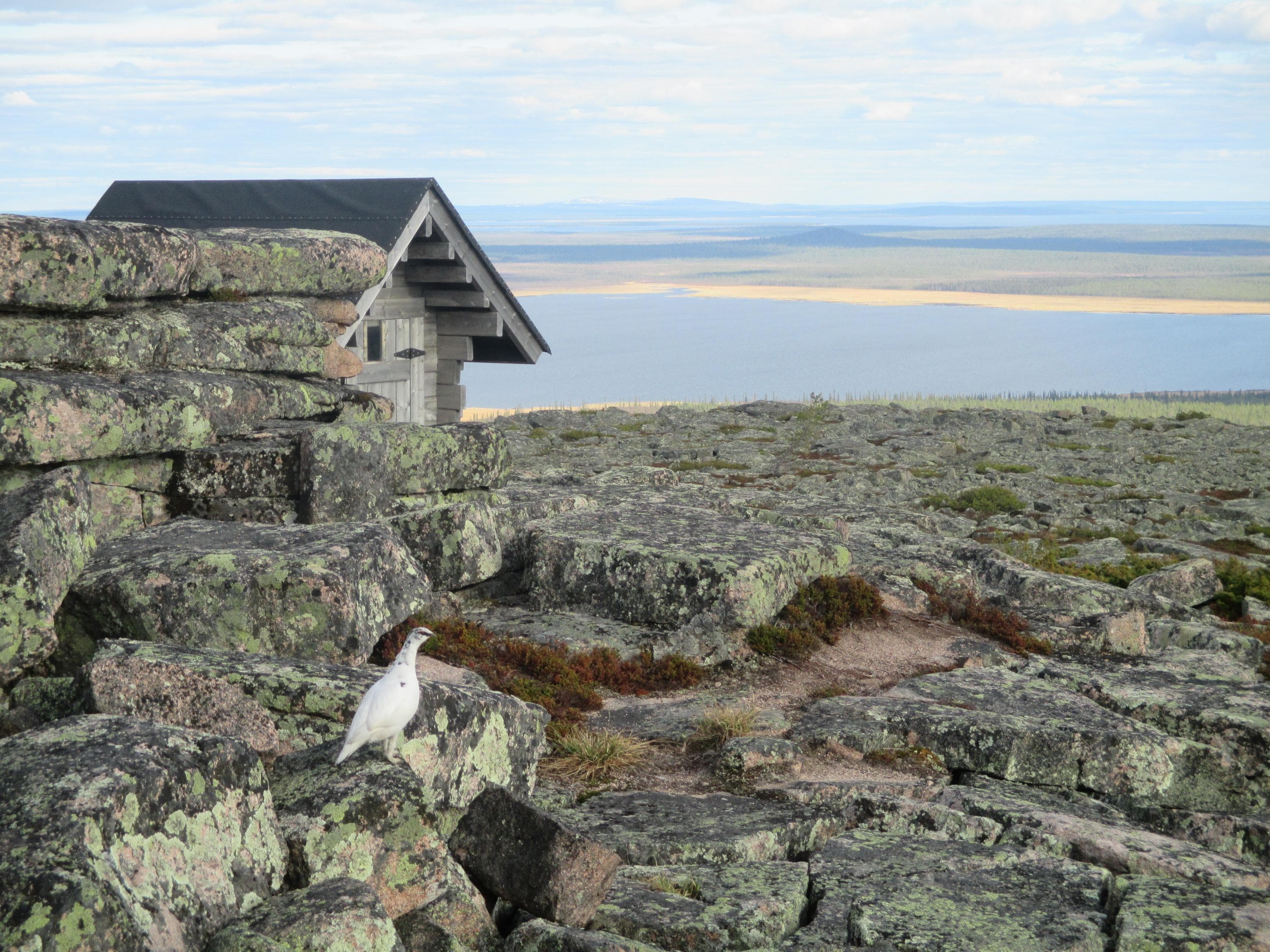 Image: Siiri Tolonen Rievssaha.