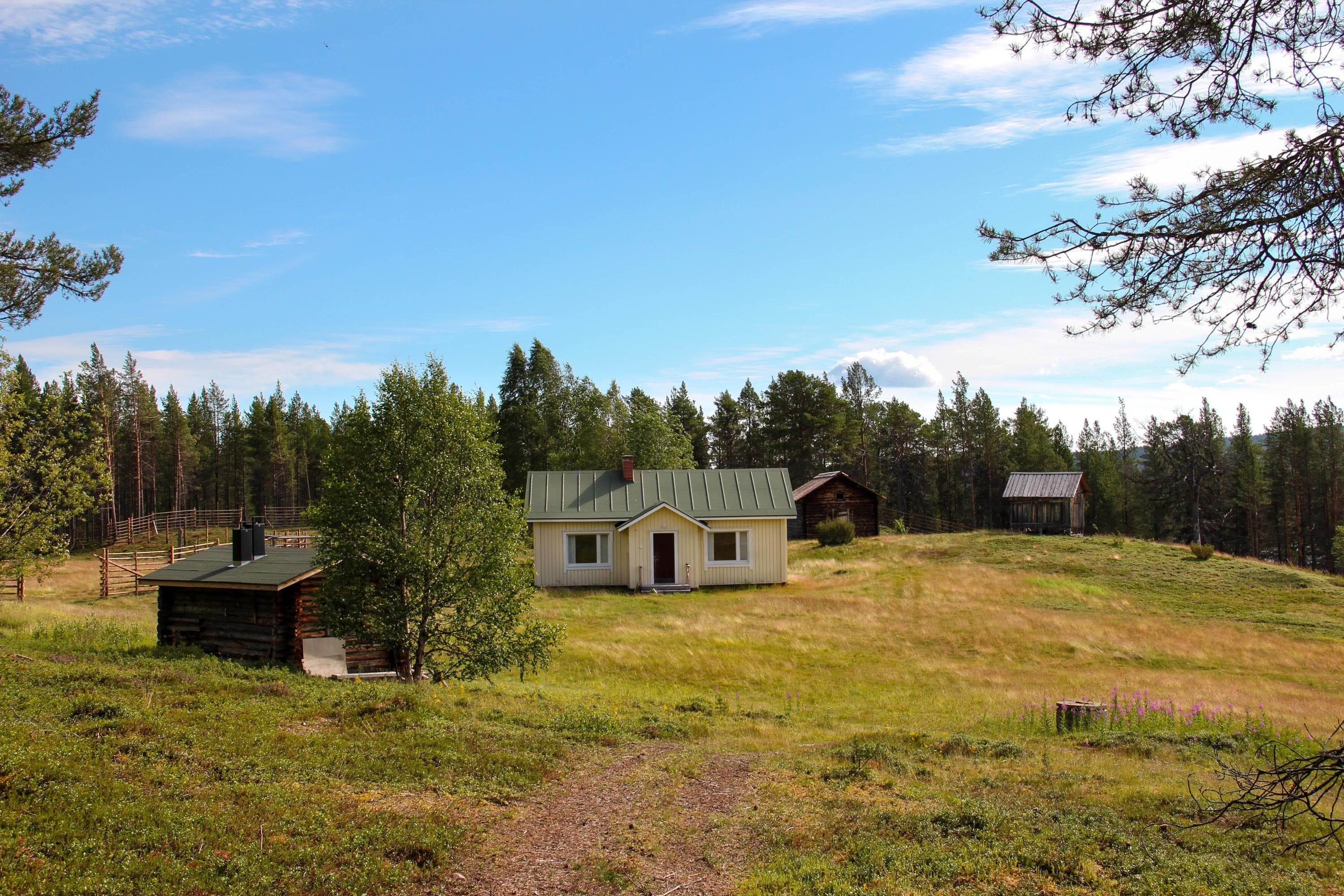 Kuva: Pasi Nivasalo Kesäinen niitty, jossa keskellä asuinrakennus ja ulkorakennus. Takana mäntymetsää. Pilvetön taivas ja aurinko paistaa niitylle.