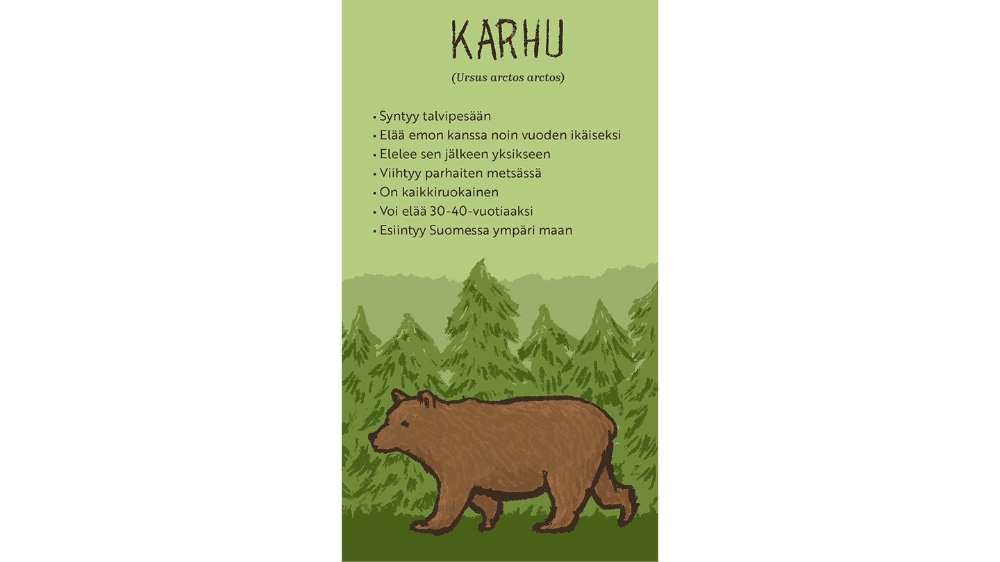 Kuva: Hanna Keränen Piirroskuva kävelevästä karhusta. Taustalla metsä. Tekstissä kerrotaan karhusta.