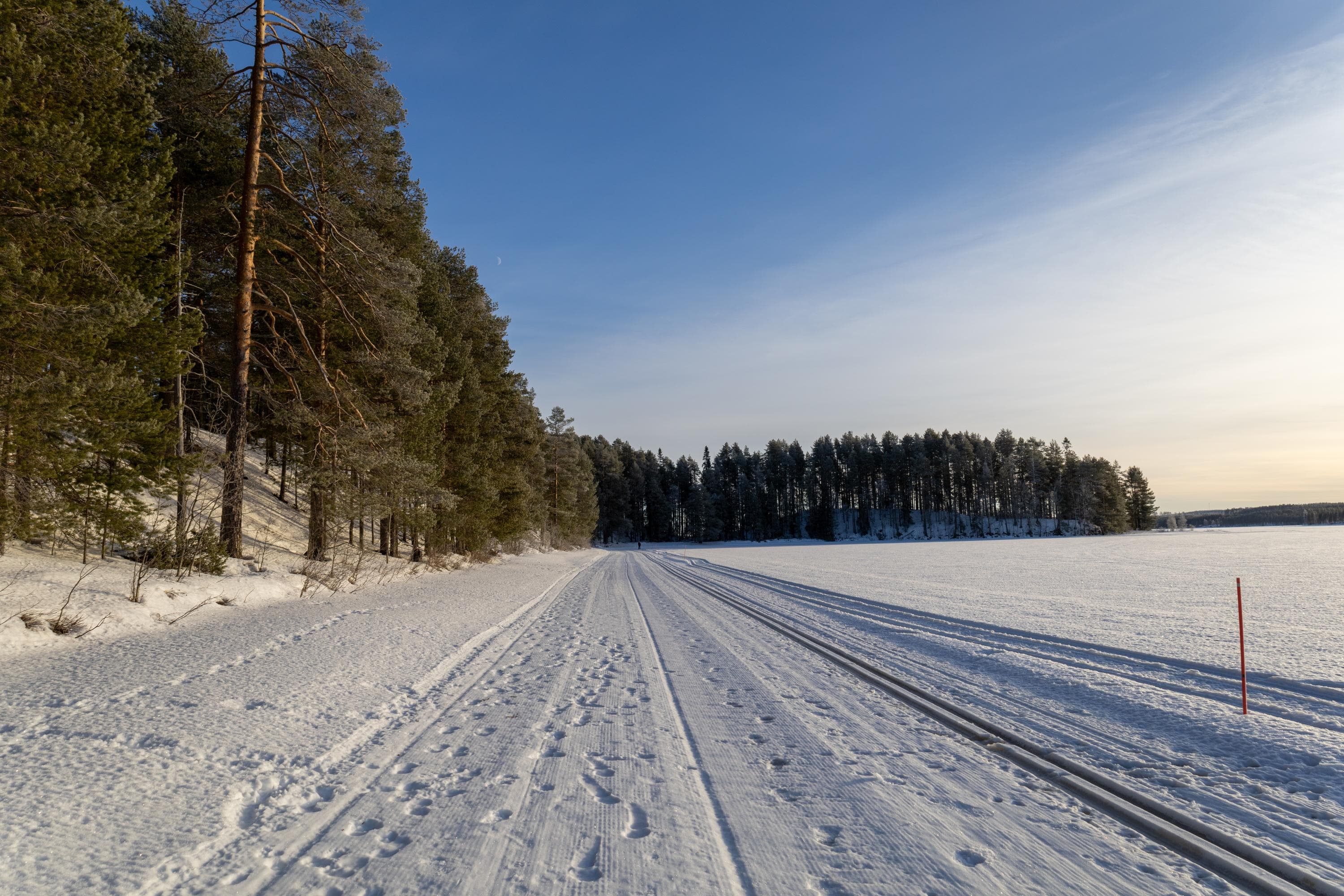 Kuva: Tiina Huotari Keskellä kuvaa hiihtolatu, vasemmassa reunassa metsää, oikealla jäätynyt järvi. Taustalla taivas.