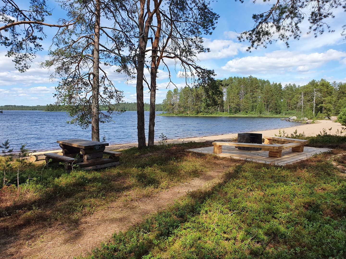 Kuva: Jani Huotari Keskellä kuvaa puu, oikealla puolella nuotiopaikka, taustalla järvi ja metsää.