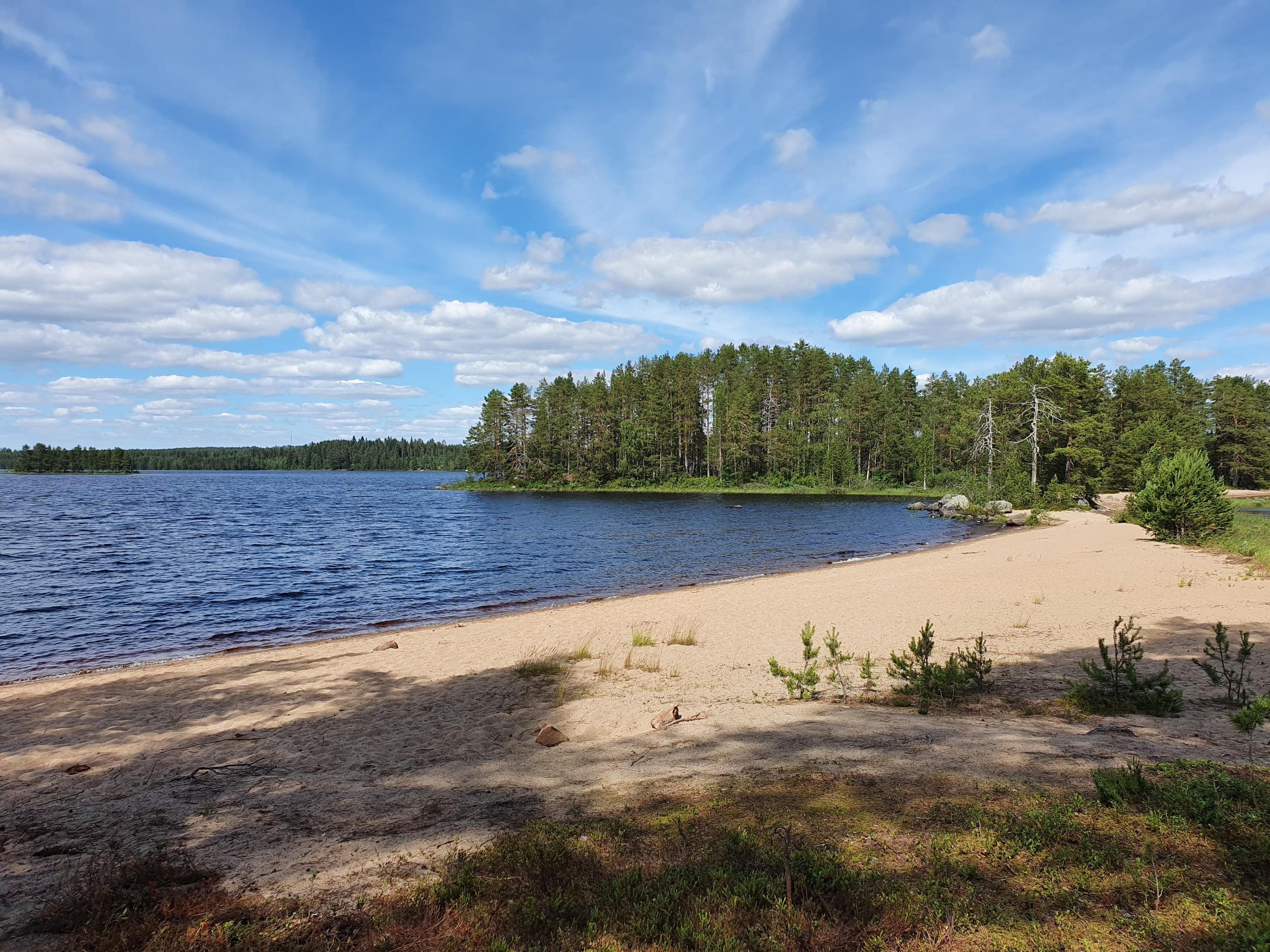 Kuva: Jani Huotari. Hiekkaranta, jonka takana metäsä. Vasemmassa reunassa järvi. Kuvan yläreunassa taivas.
