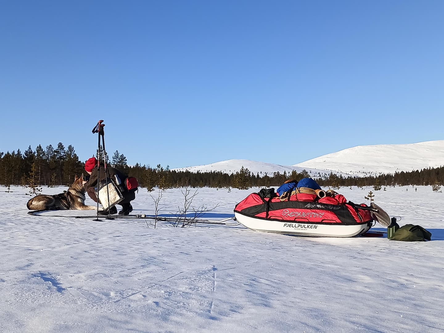 Image: Leena Leppälä A skier is petting a dog. The skier has a sled behind them. Snow-covered mountains can be seen in the background.