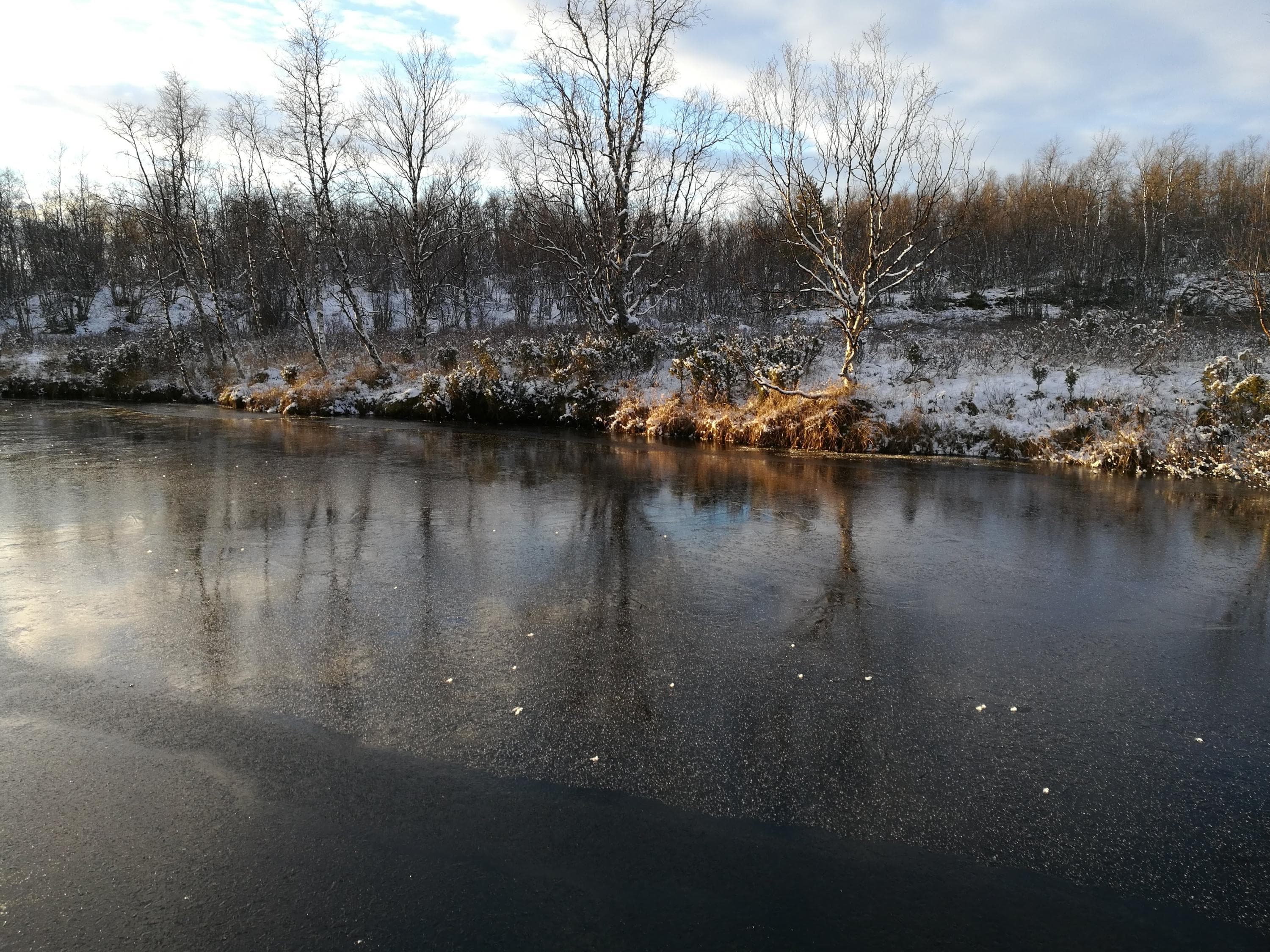 Kuva: Leena Leppälä Joki on jäätynyt. Jää on kirkasta, ja sen pinnasta heijastuu jokivarren puut.