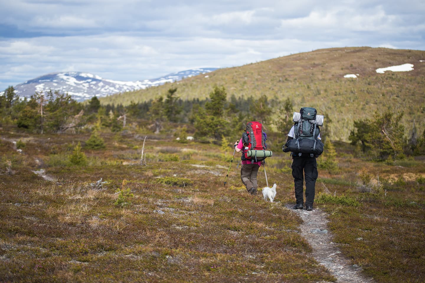 Image: Heikki Sulander Two hikers and a dog are walking along a trail. Partially snow-covered fells can be seen in the background.